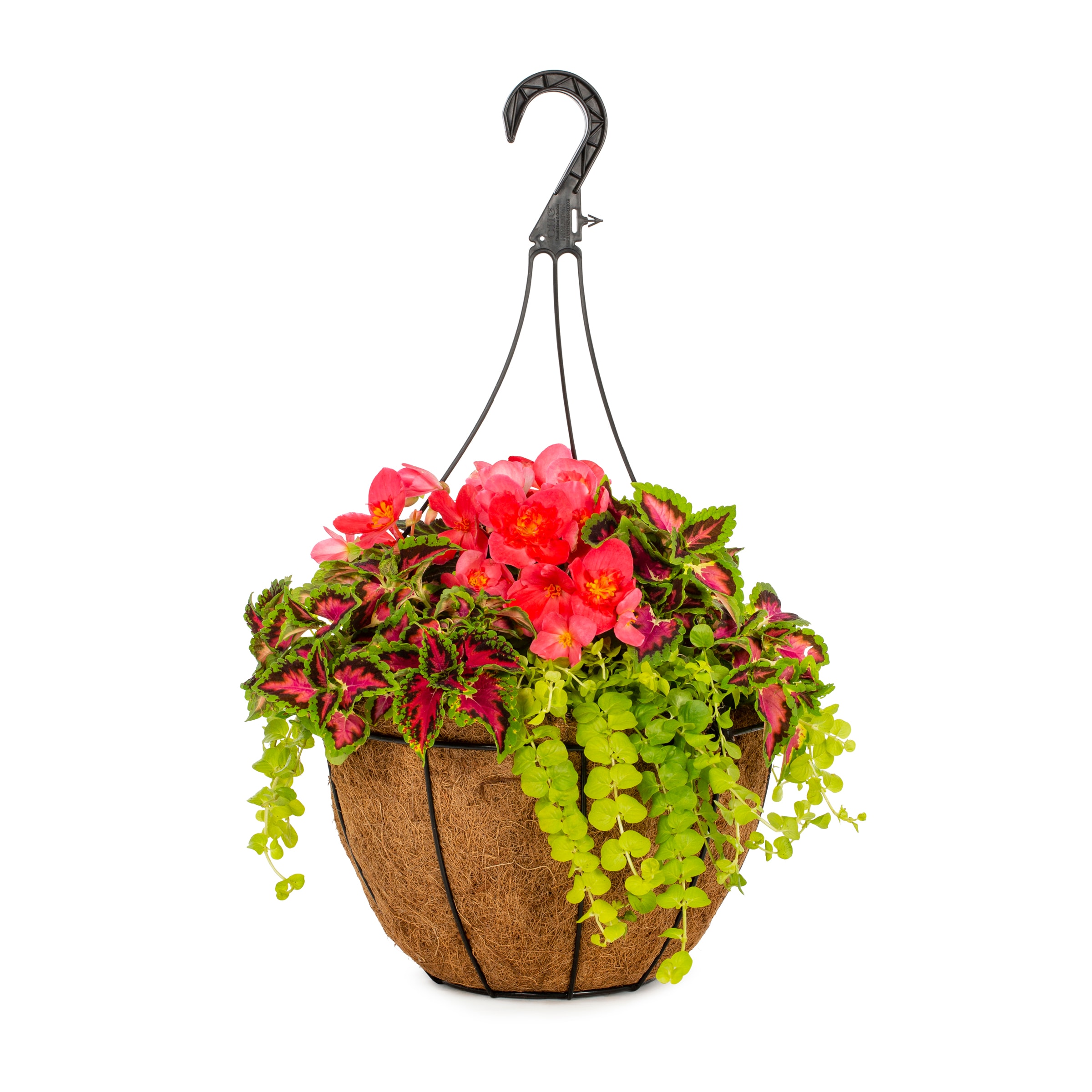 Lowe's 353079 Multicolor Combo in 2 Gallon(s) Planter 1 -Pack