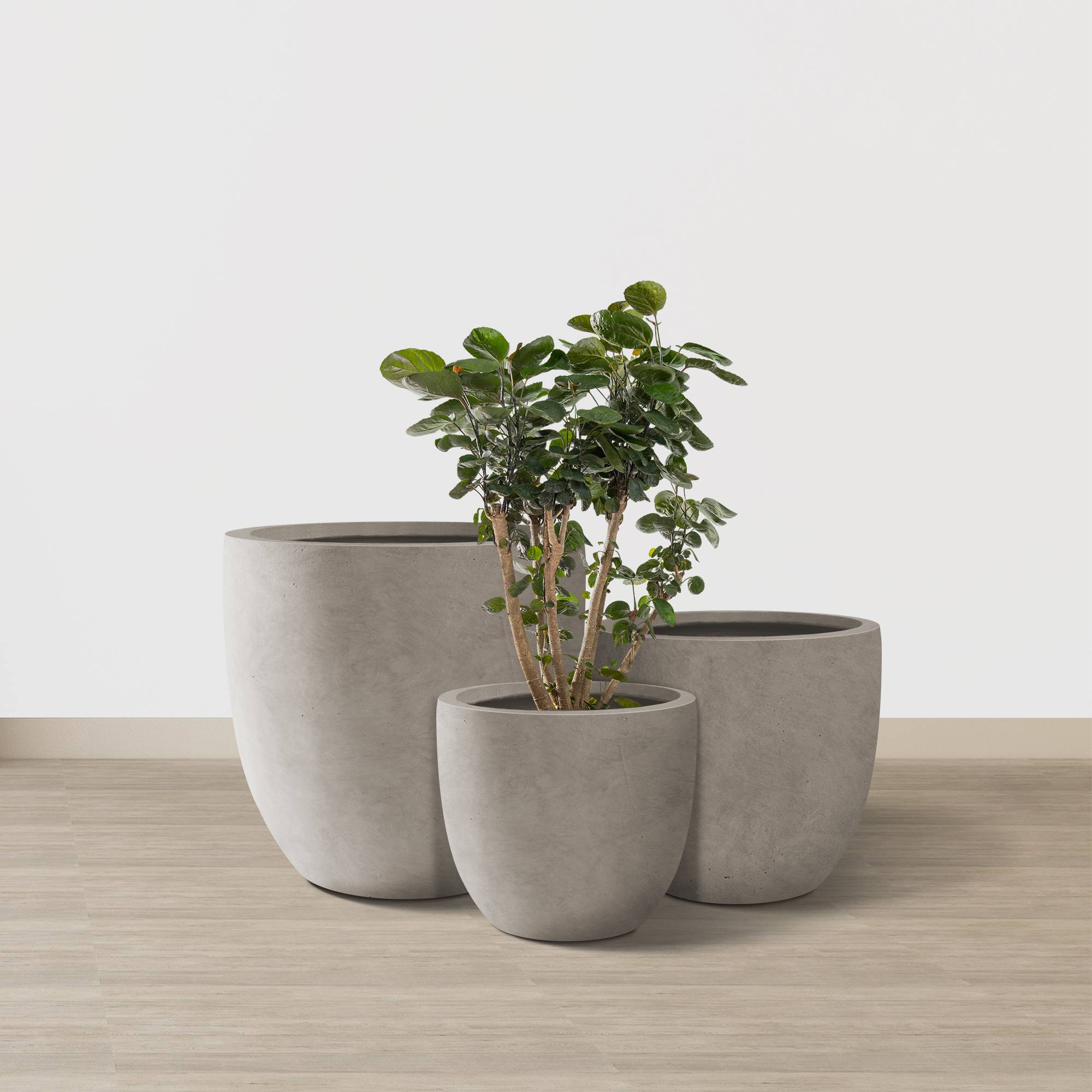 KANTE RC0152BCD-C80021-2 Planter-Window-Box - View #4