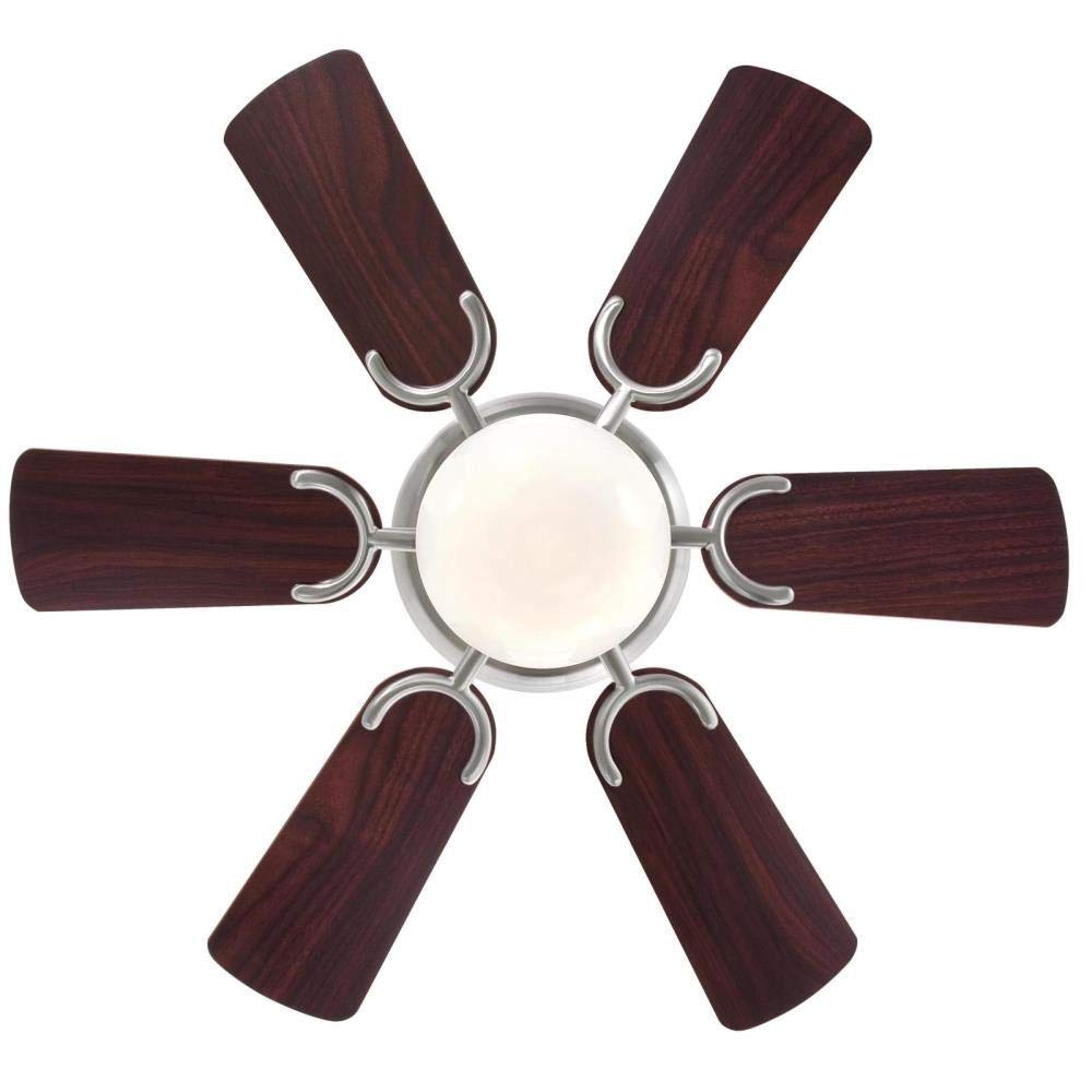 Ciata 42405L Ceiling-Fans - View #4