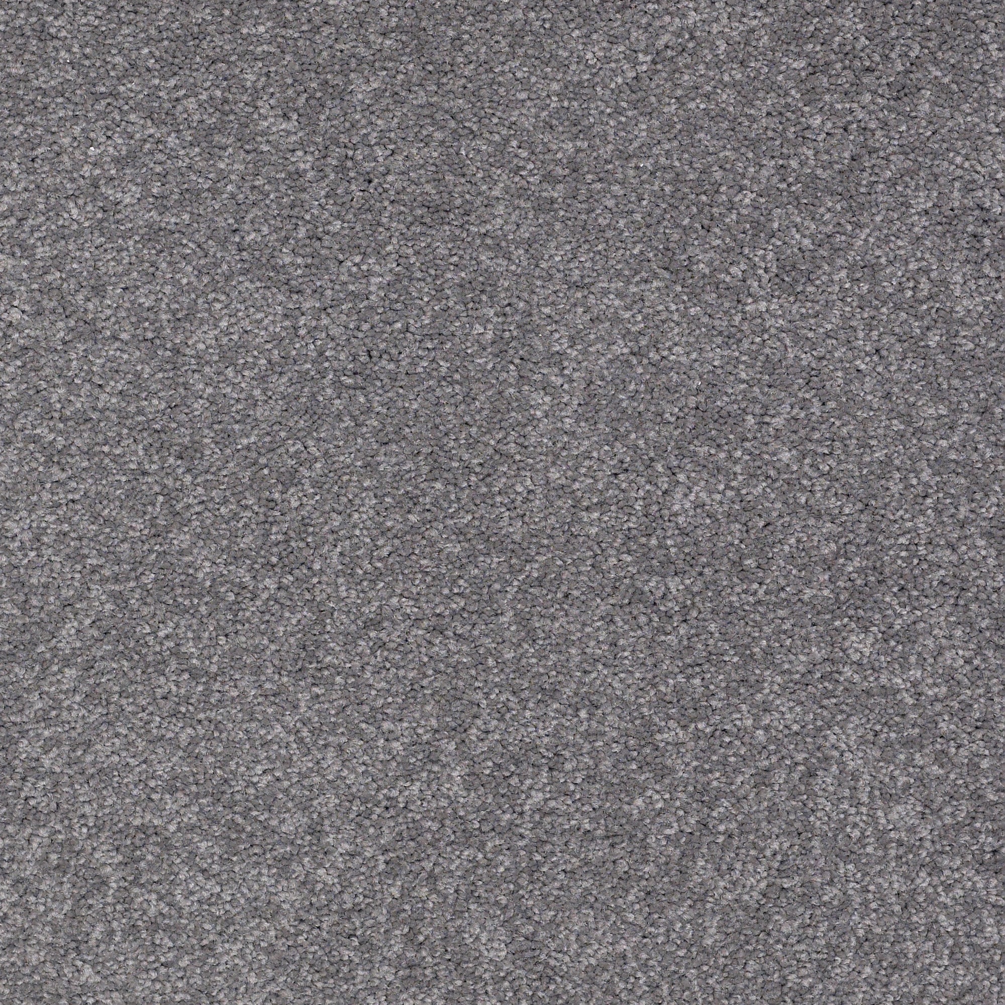 STAINMASTER PetProtect 7L89000502 Sweet Spot I 15-Ft Stony Creek Gray 48.8-oz sq yard Nylon Textured Indoor Carpet