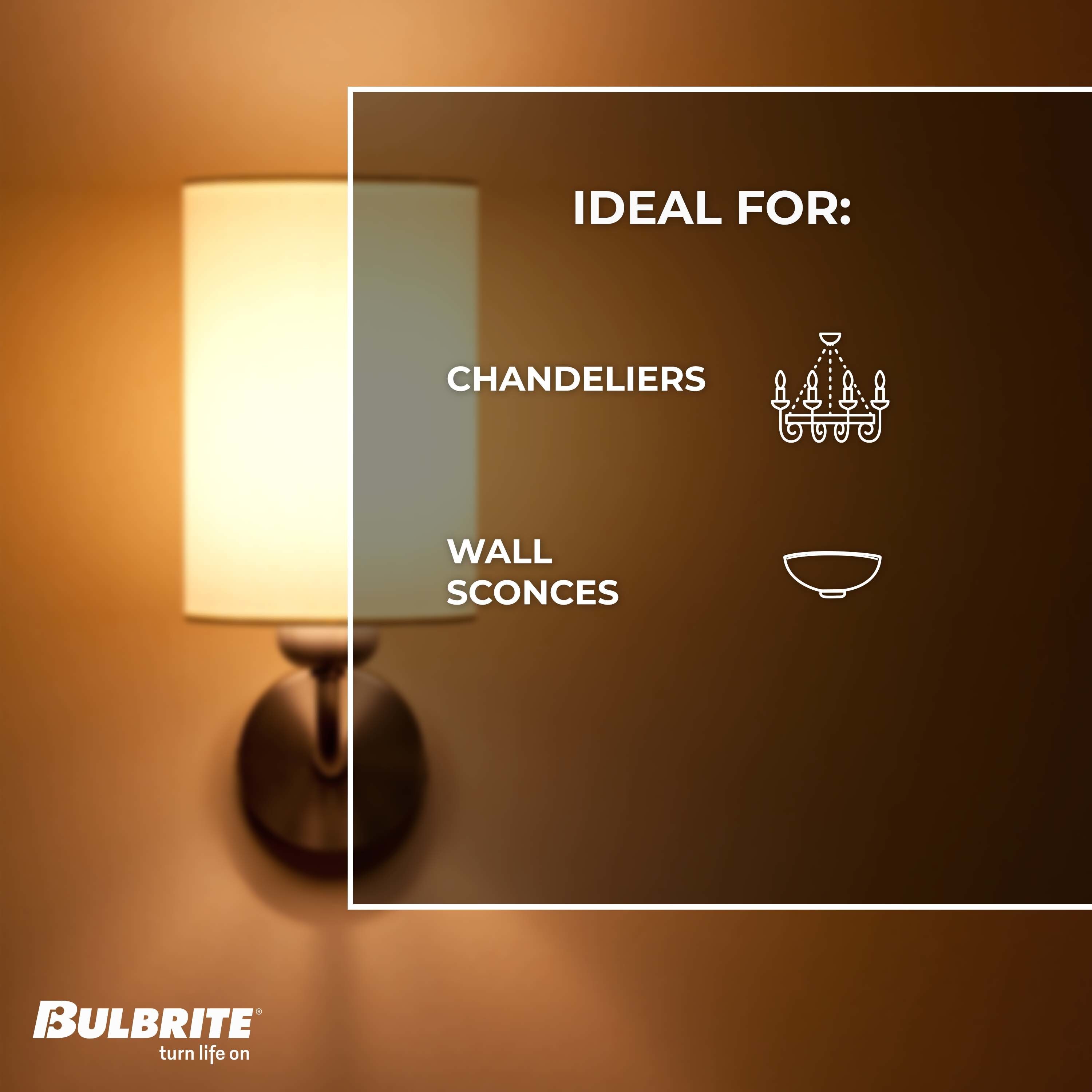 Bulbrite 861584 Dec-Led-Light-Bulbs - View #5