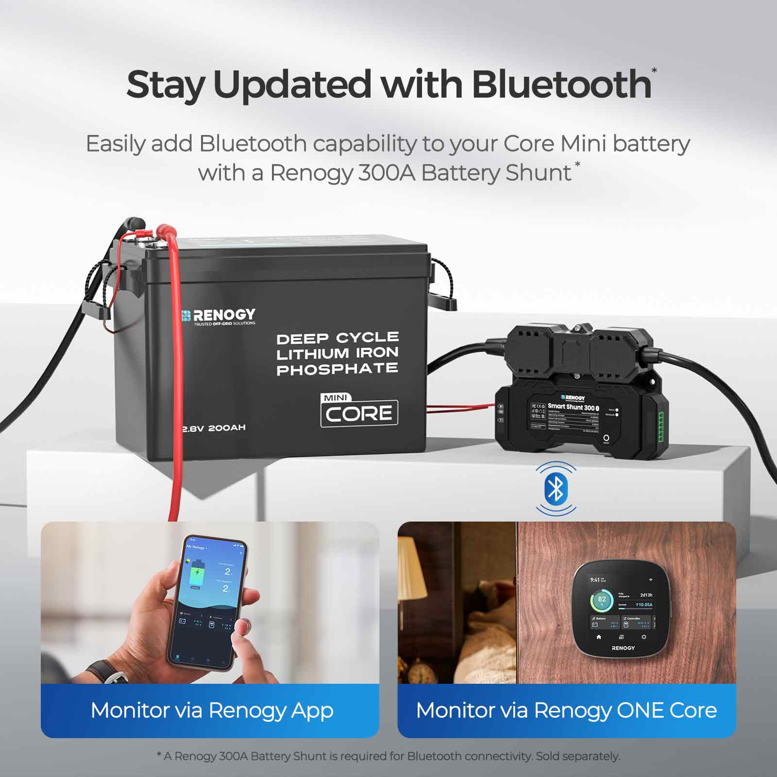 Renogy RBT12200LFP-US Device-Replacement-Batteries - View #6