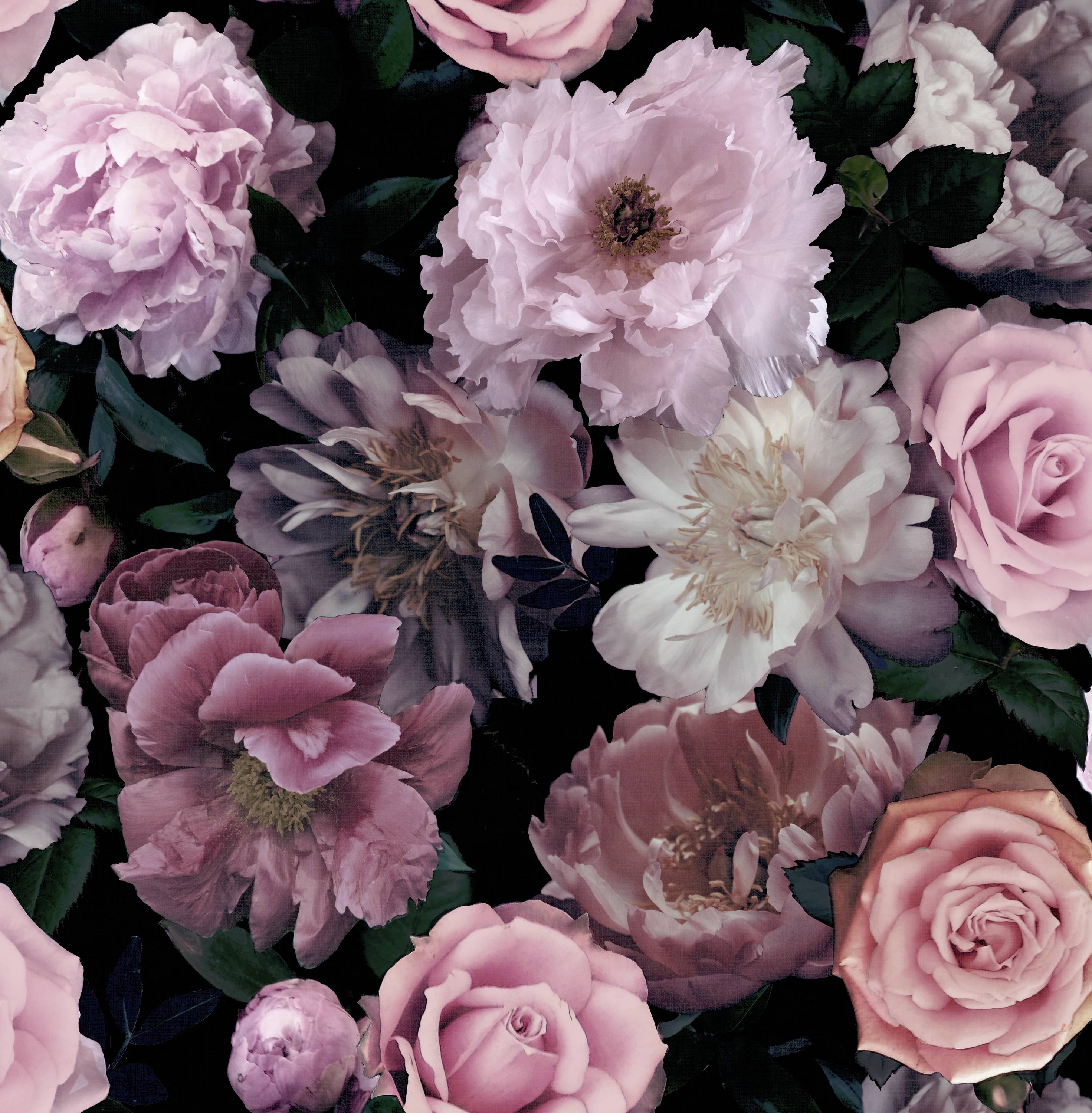 Pink flowers Wallpapers Download  MobCup
