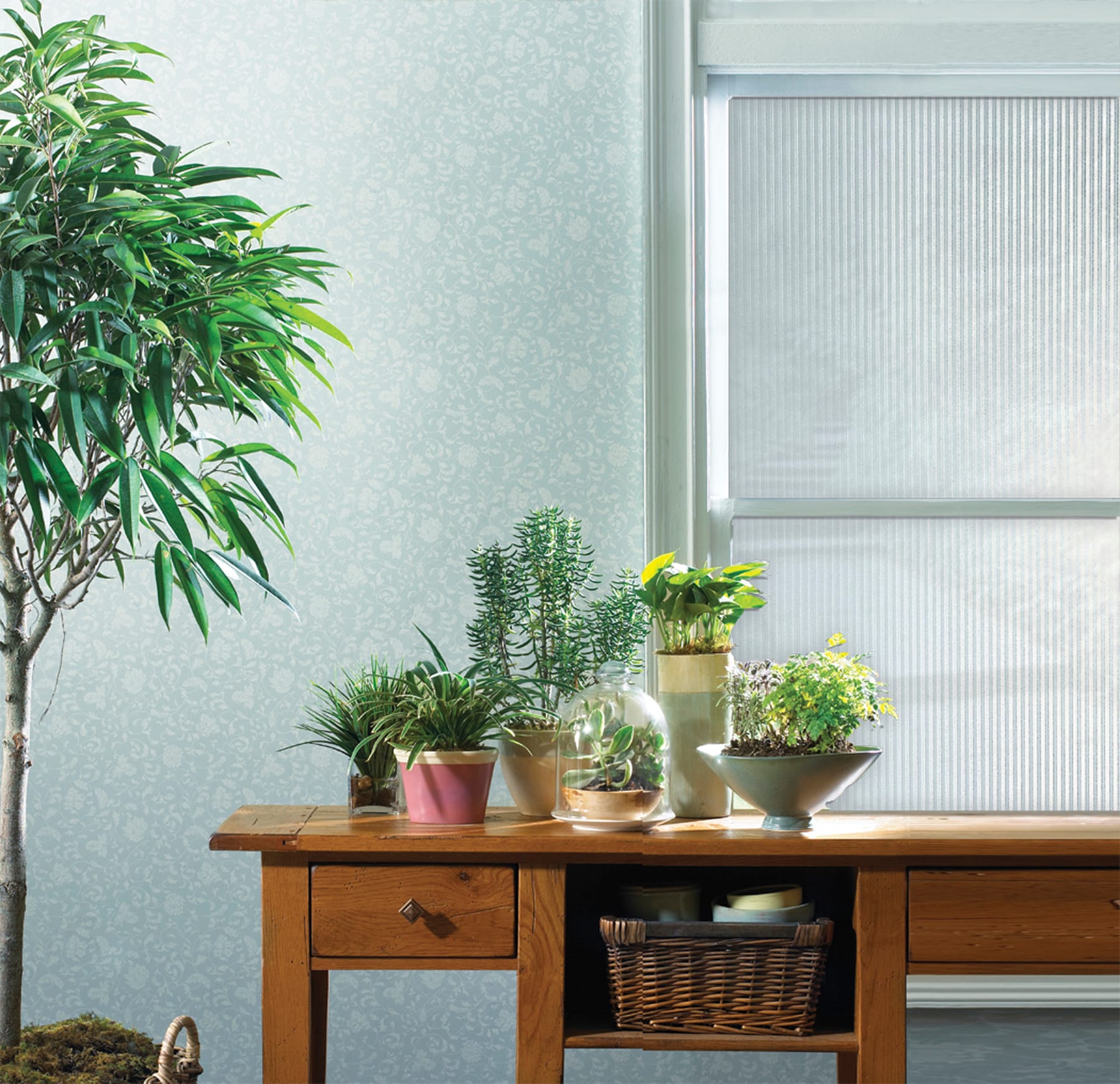 InHome 99432 Window-Film - View #2