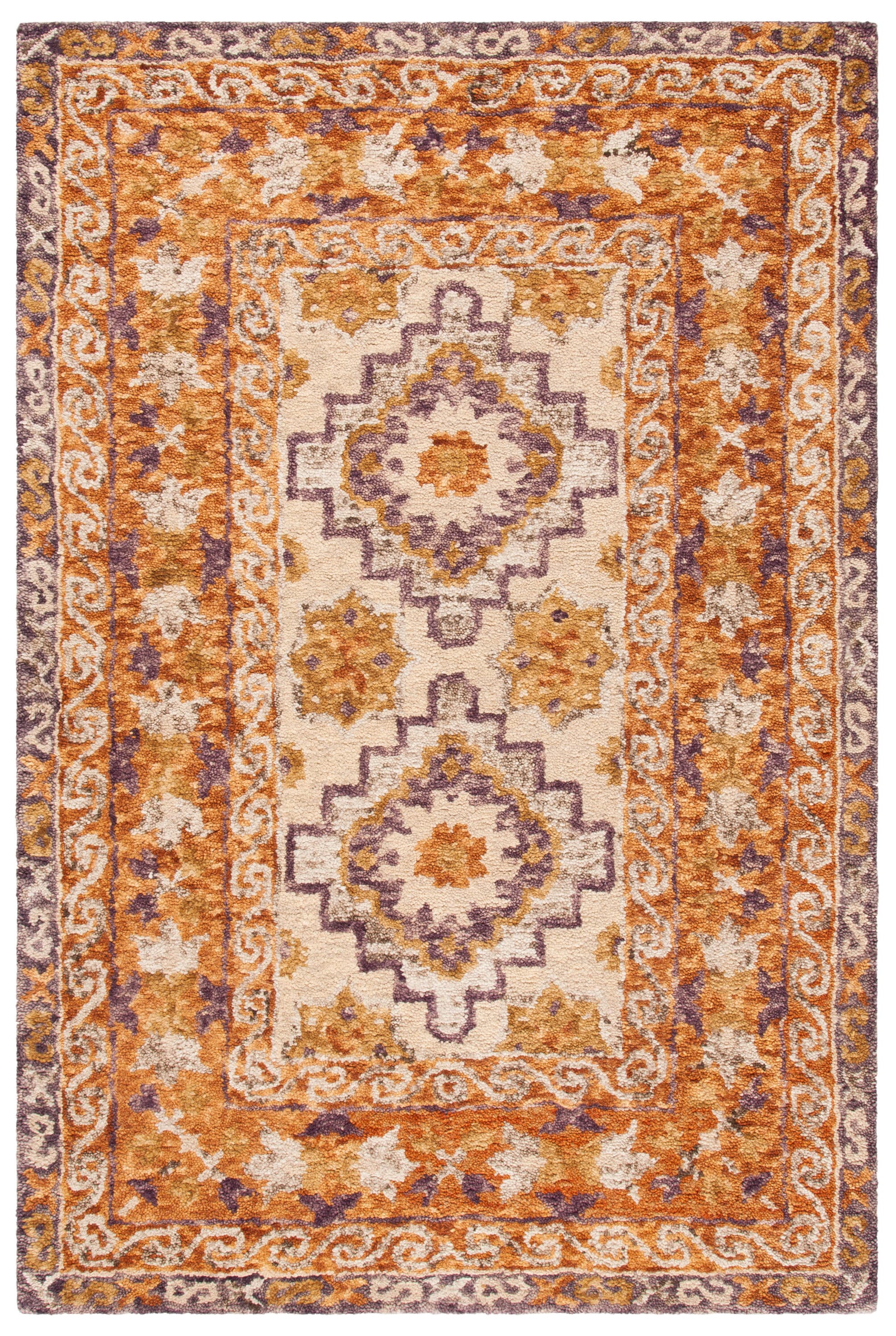 Safavieh APN127T-4 rugs - View #2