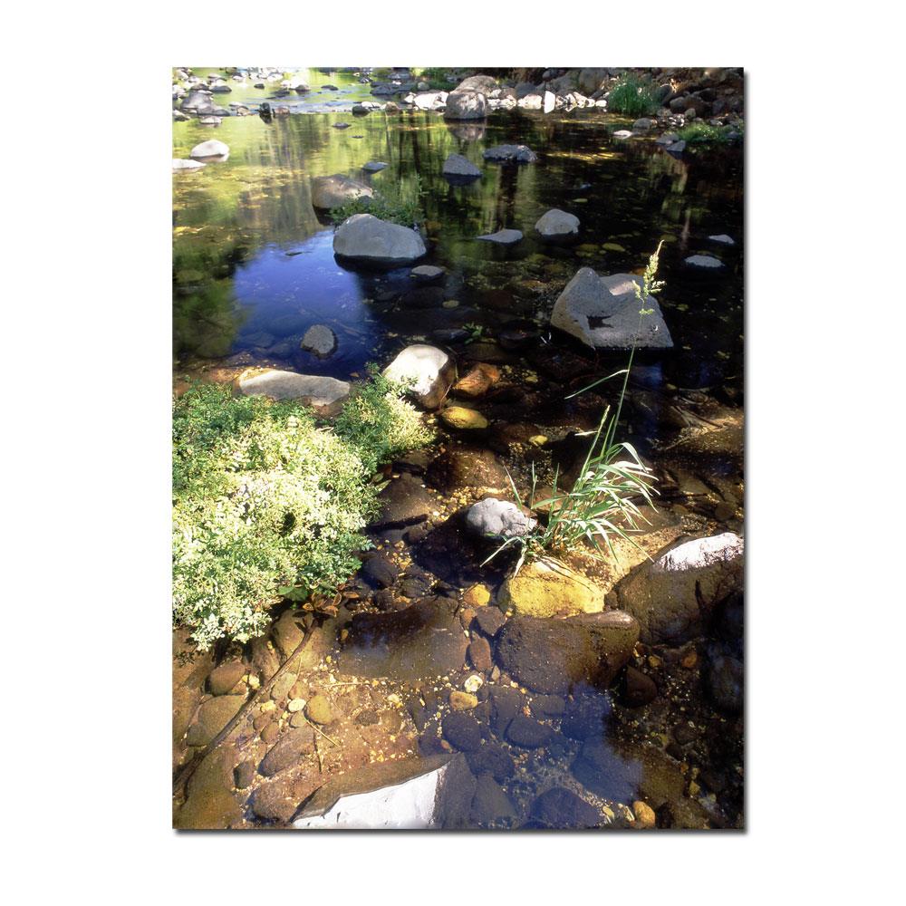 Trademark Fine Art KS328-C2432GG Framed 32-Inches H x 24-Inches W Landscape Canvas Print