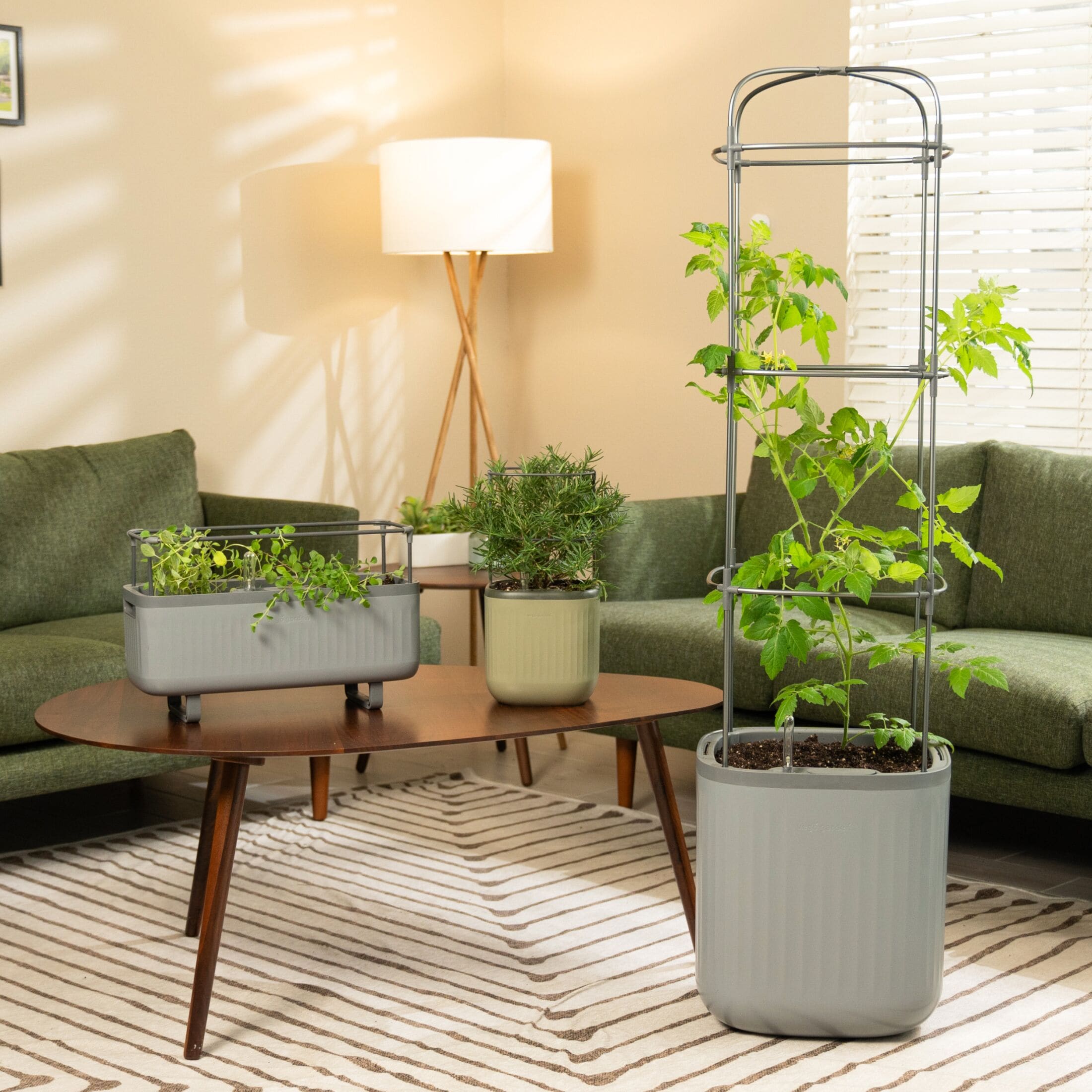 Vego Garden VPMPGN-2 Planter-Window-Box - View #4