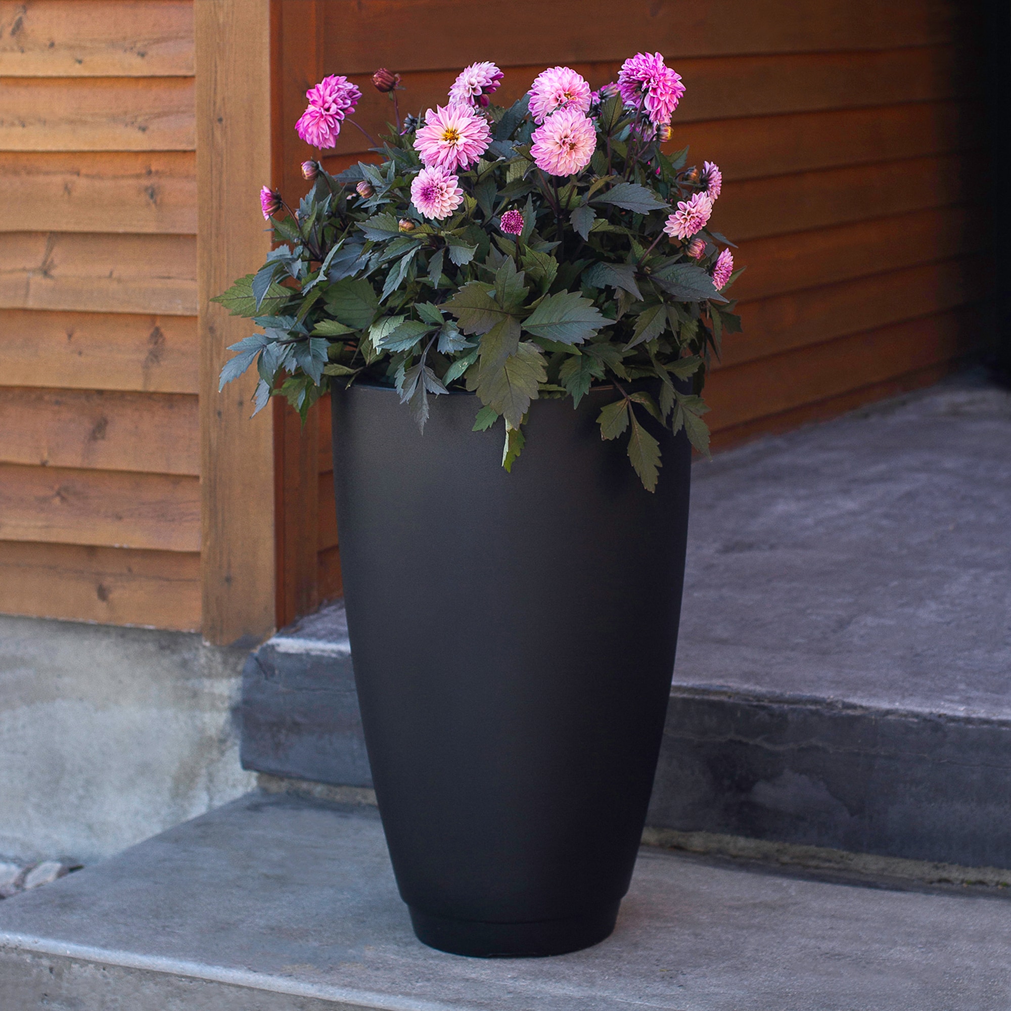 Mayne 5906-B Planter-Window-Box - View #4