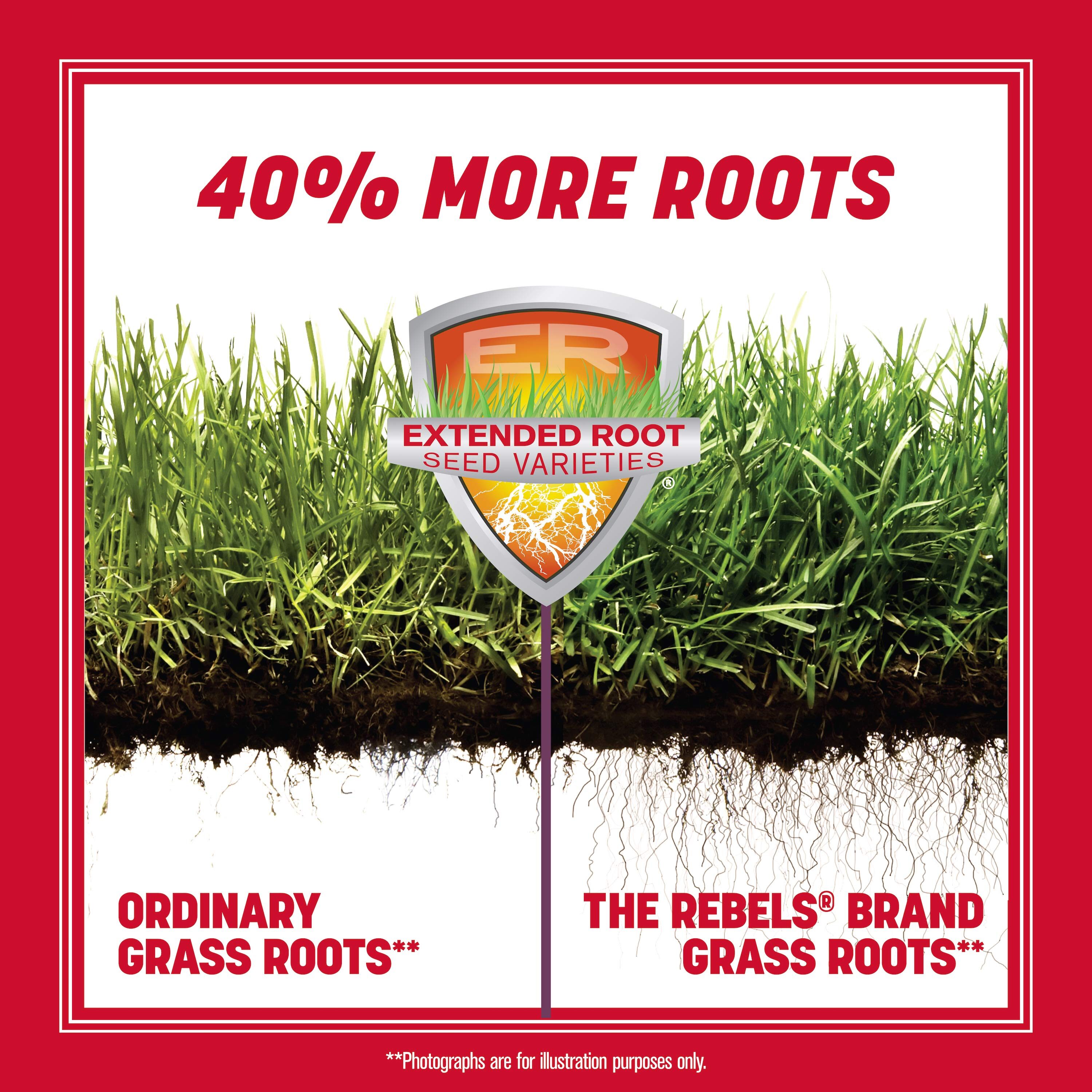 Pennington 2149602290 Grass-Seed - View #5