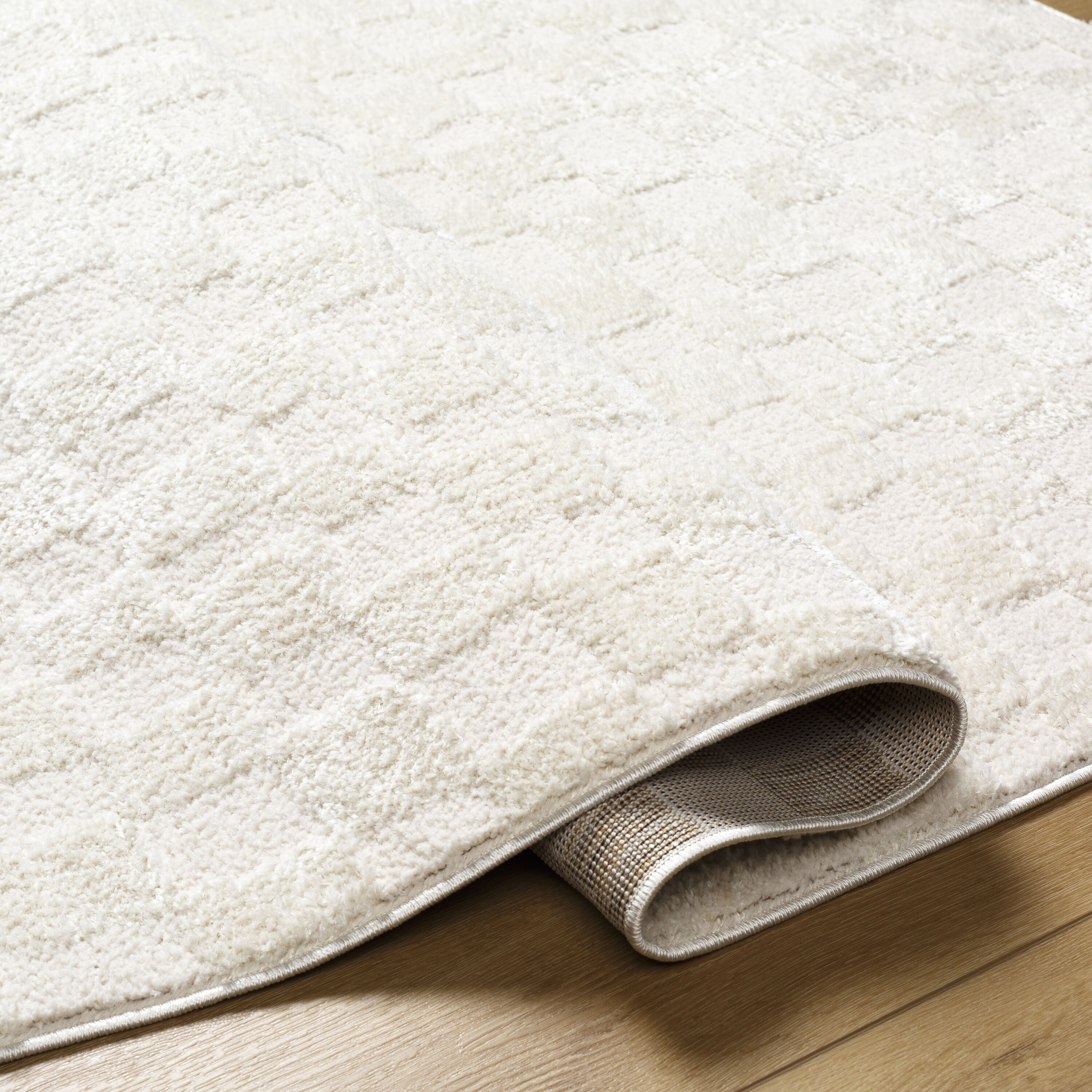 Livabliss FEU2306-537 rugs - View #3