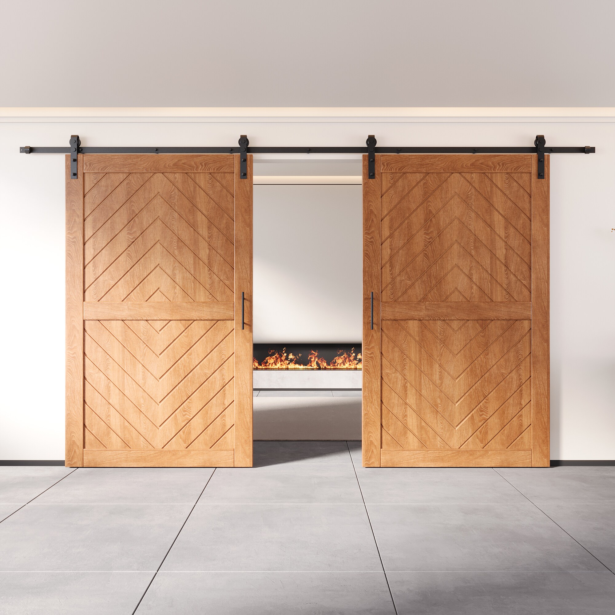 HOMACER YT2H216C-JT2-5080-EA Barn-Doors - View #8