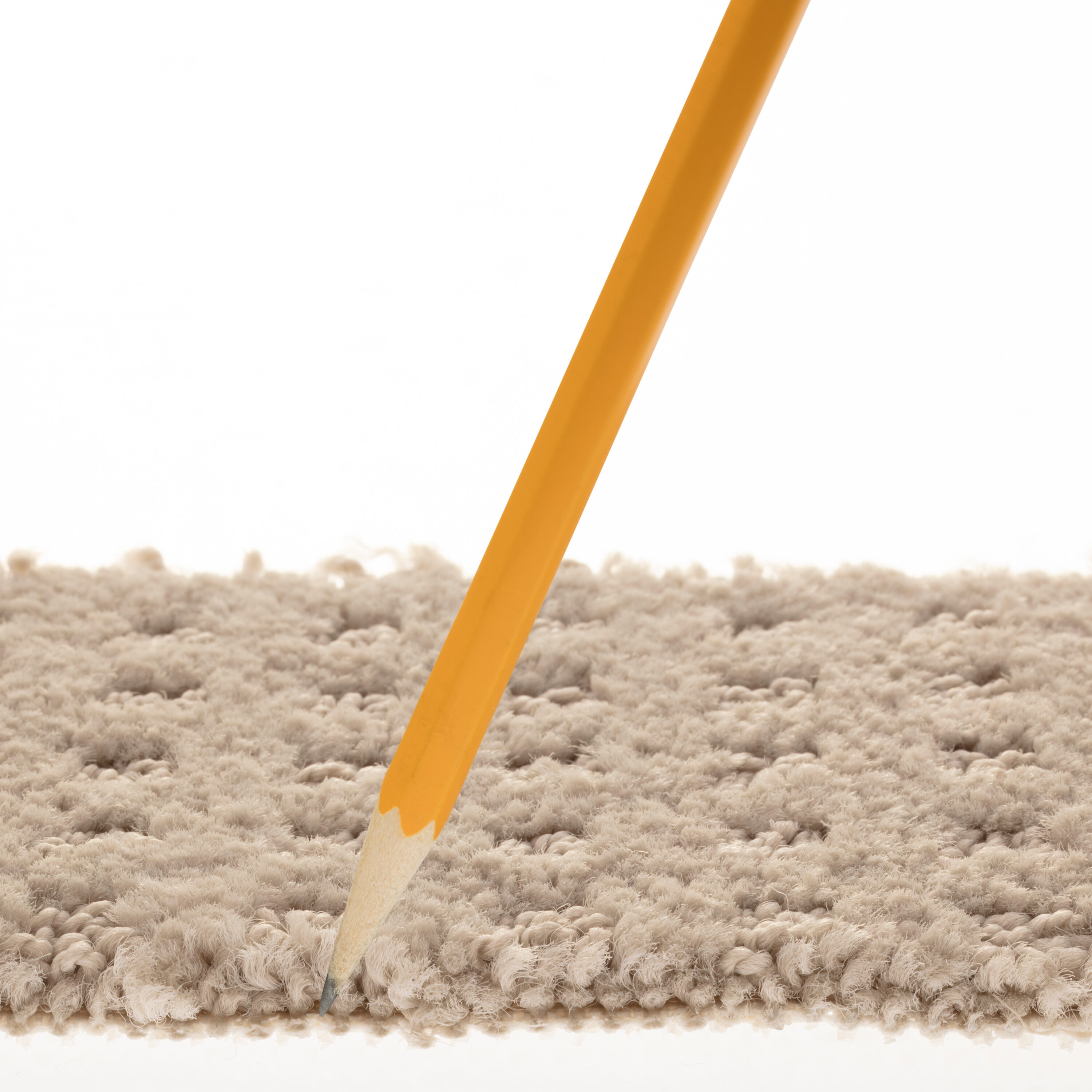 STAINMASTER PetProtect 7L89800511 Carpet-Panel - View #7
