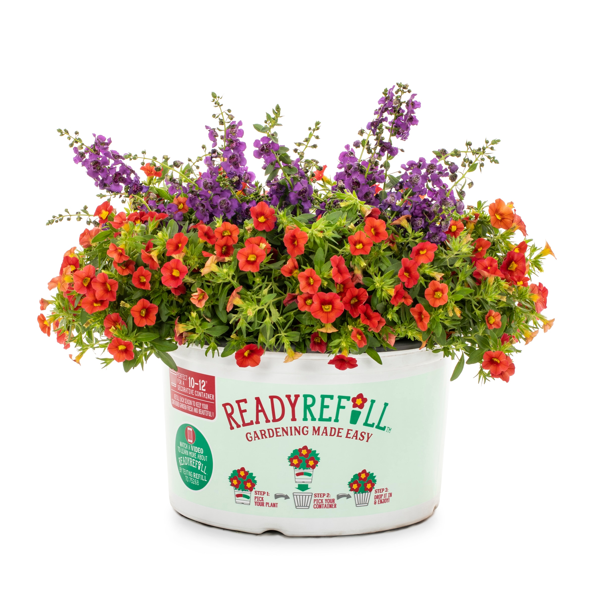 Lowe's NURSERY Multicolor Mixed Annuals in 1.5-Gallon Pot