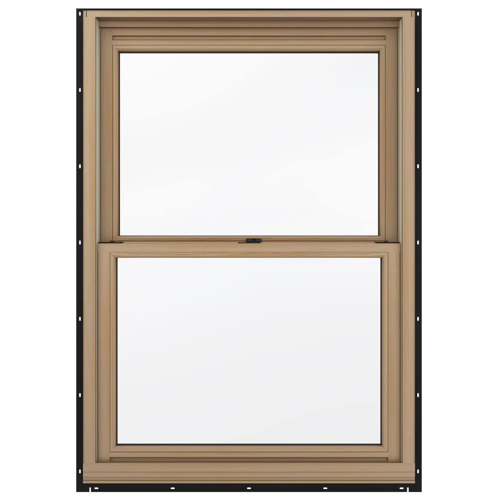 JELD-WEN New Construction Jamb Chestnut Bronze Aluminum-clad Dual-pane ...