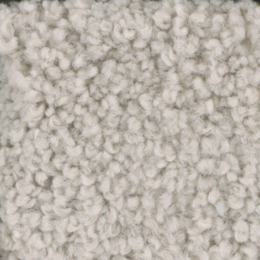 STAINMASTER 7L61300101 Signature Subtle Beauty 3 15 Ft Spider Web Textured Interior Carpet