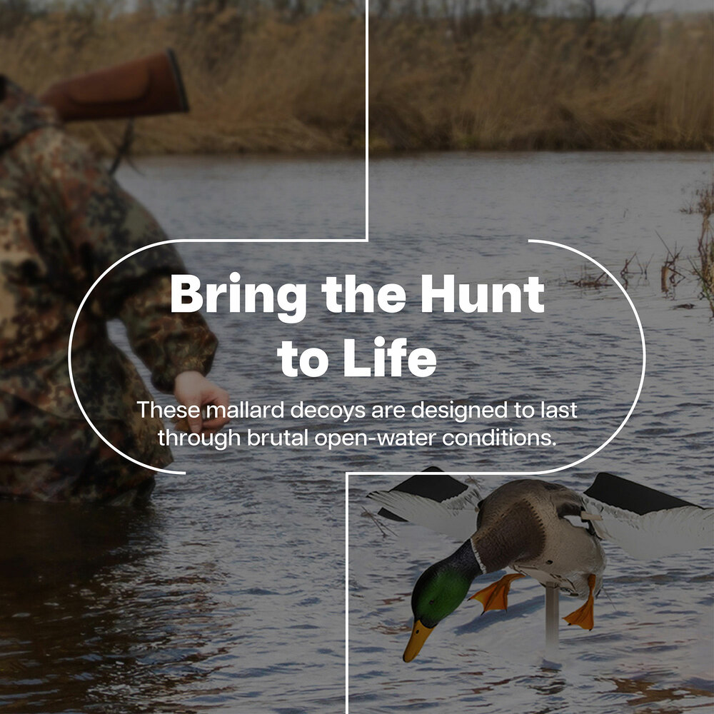  Avian X 408527 Hunting-Equipment - View #3