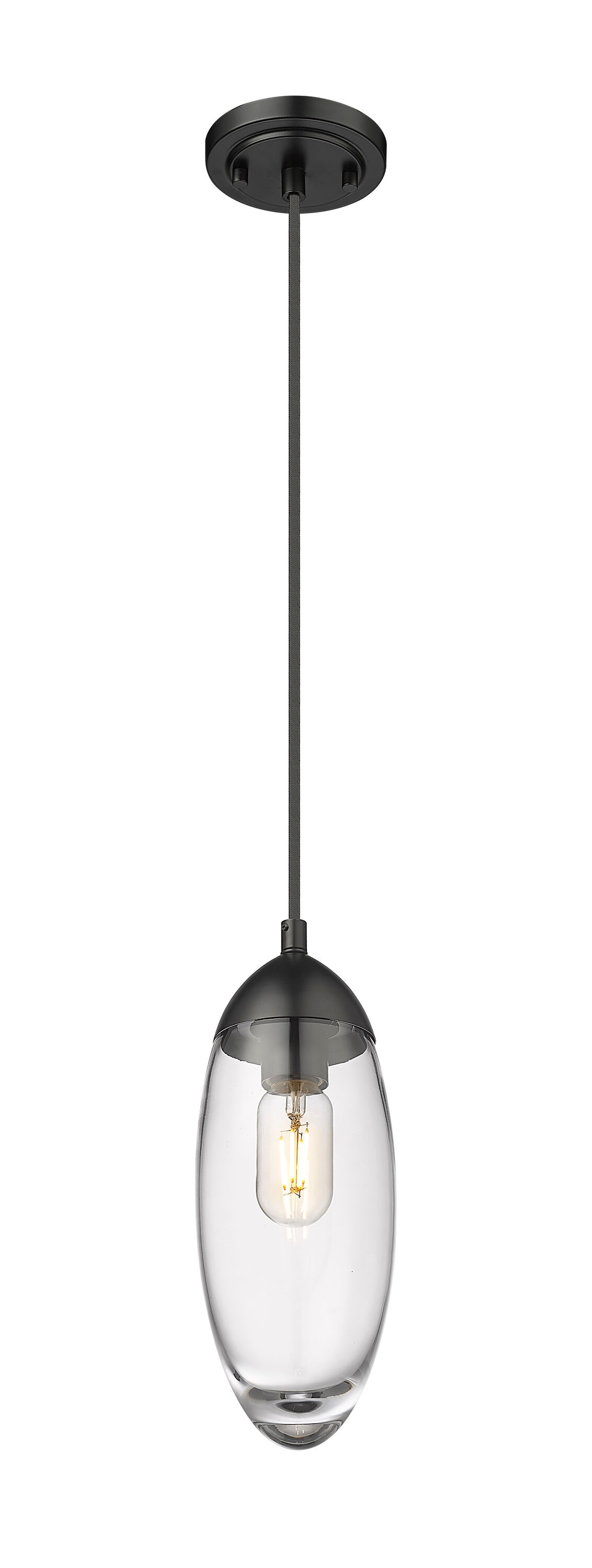 Matte Black Glass and Nickel Indoor/Outdoor Pendant Light