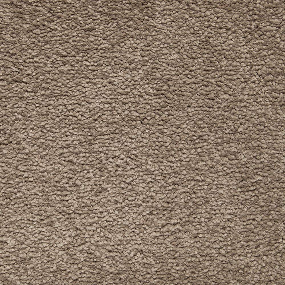 STAINMASTER PetProtect STP55-L014-0808 (Sample) Purrfectly Pampered Feather Brown 60-oz sq yard Triexta Textured Indoor Carpet