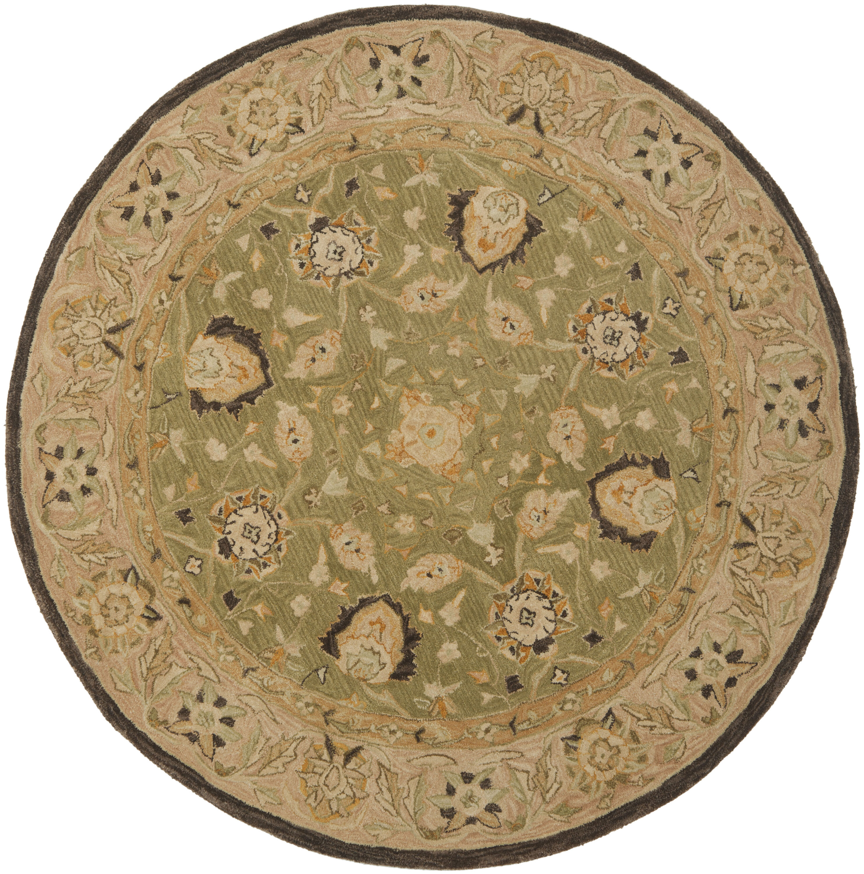 Safavieh AN512C-6R rugs - View #2