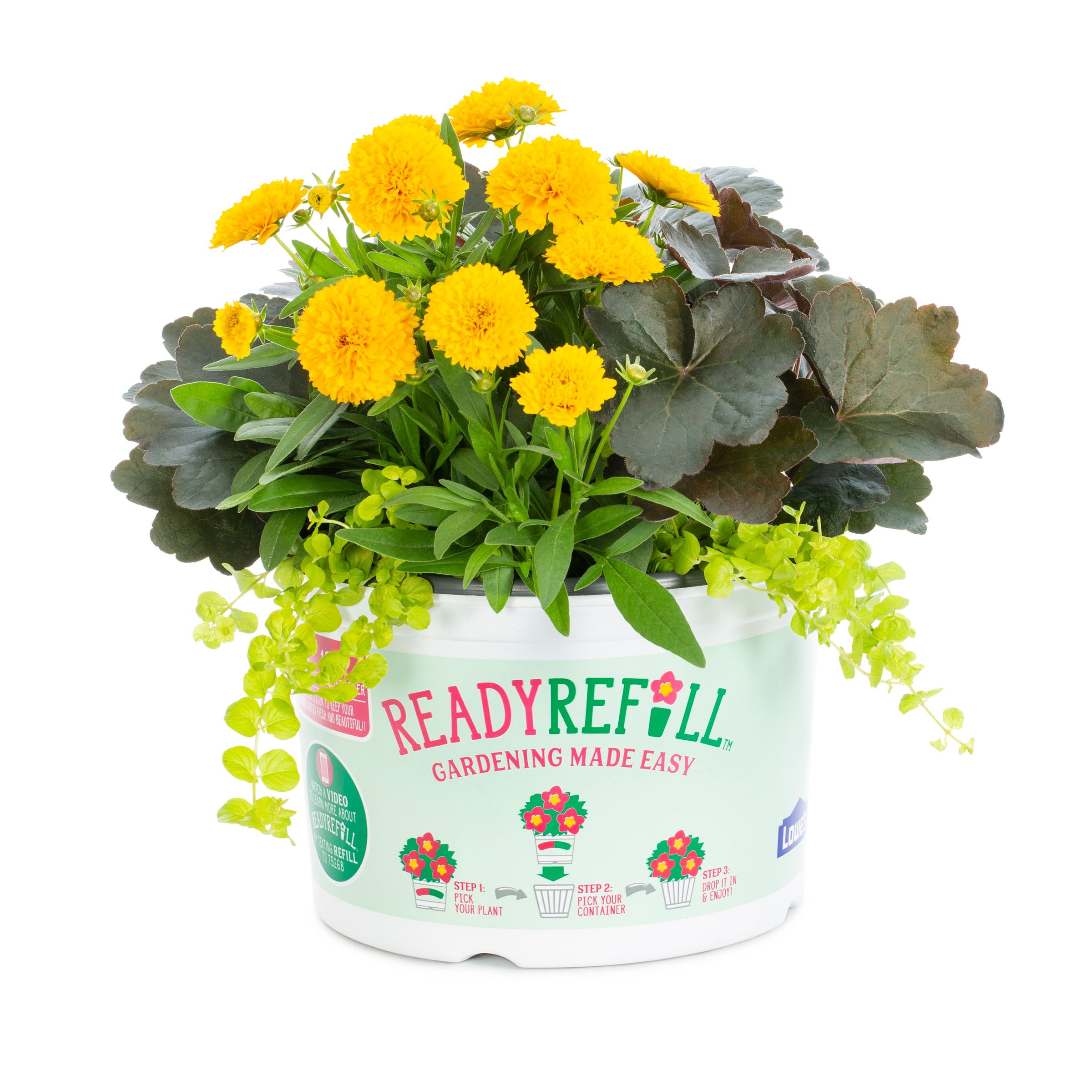 Lowe's NURSERY Multicolor Mixed Annuals Combinations in 2.50 Gallon(s) Pot 1 -Pack