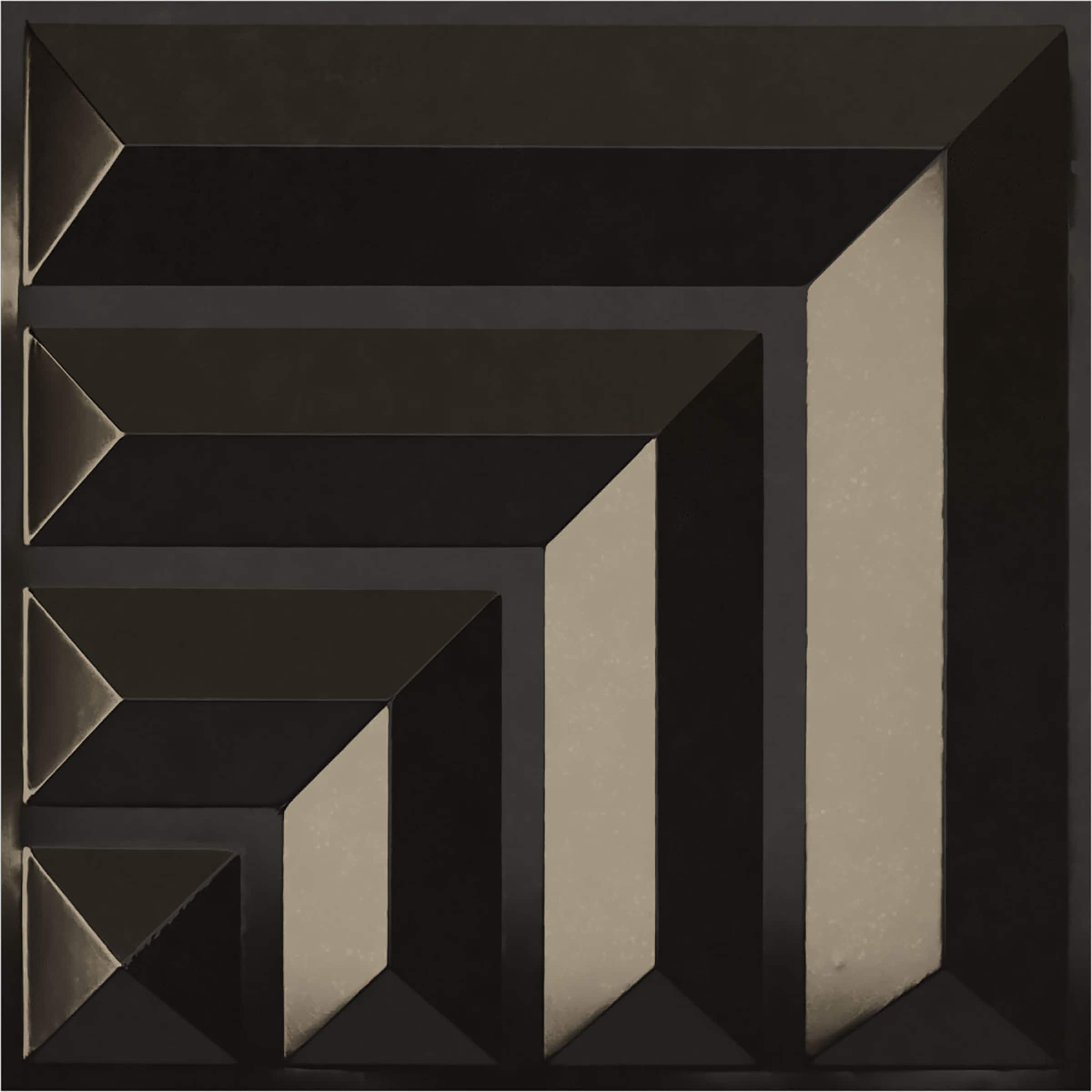 Ekena Millwork WP20X20BTECA 19-5/8-in x 19-5/8-in Embossed Paintable/Stainable Black PVC Abstract Wall Panel ( 2.67-sq ft )
