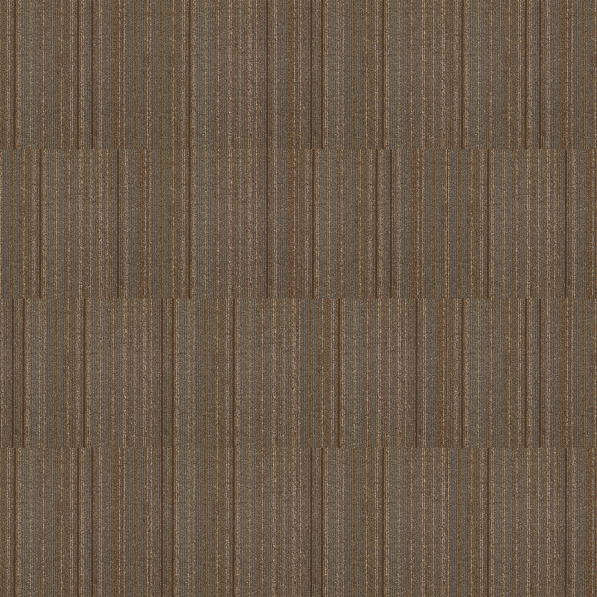 Shaw 7P0VA00790 Carpet-Tile - View #11