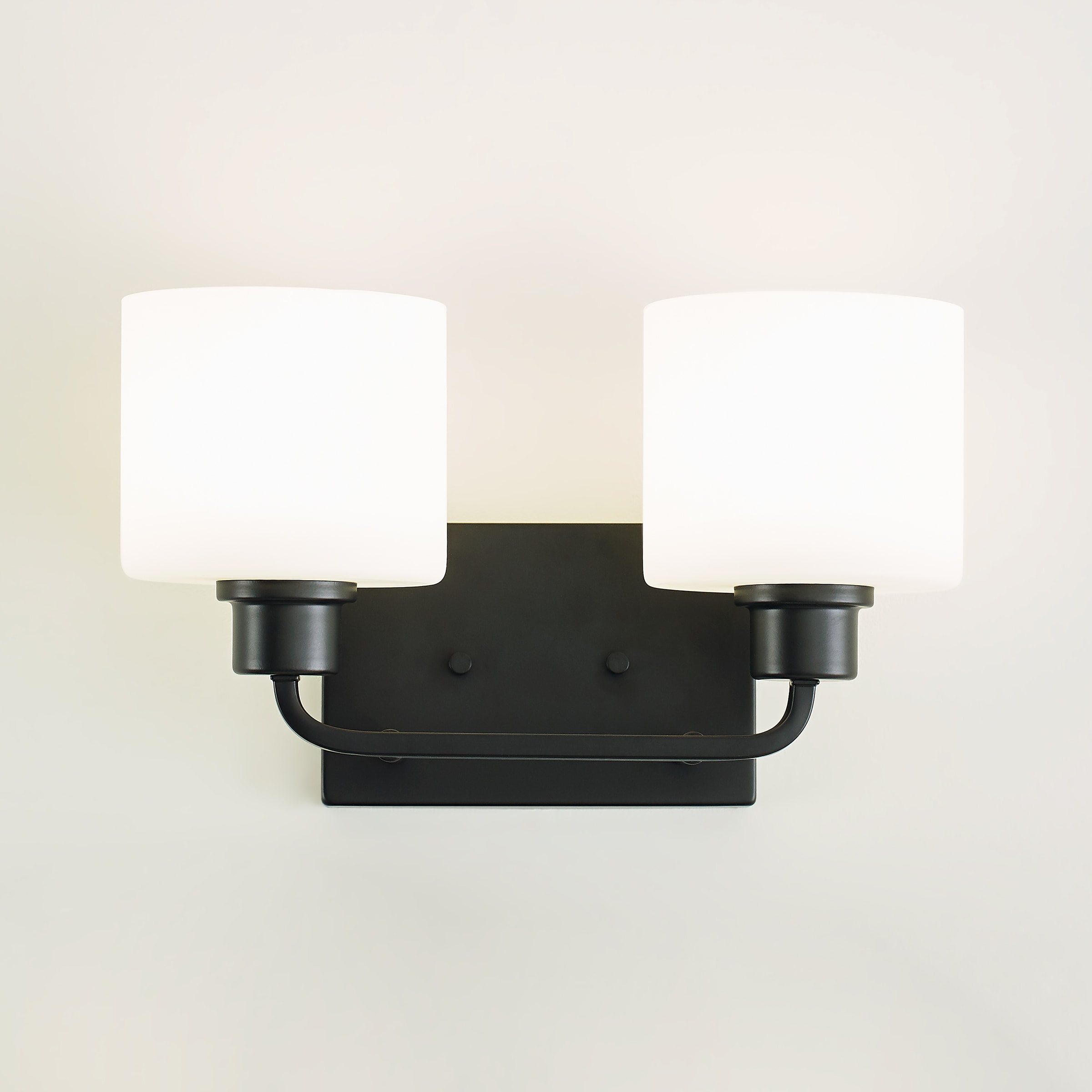Midnight Black 2-Light Vanity Fixture with Etched Glass Shades