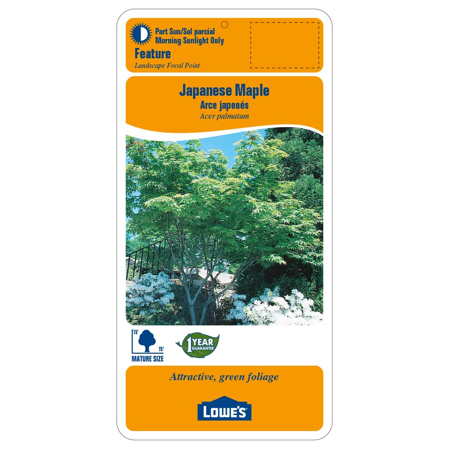 Lowe's ACEPAS9905 trees - View #2