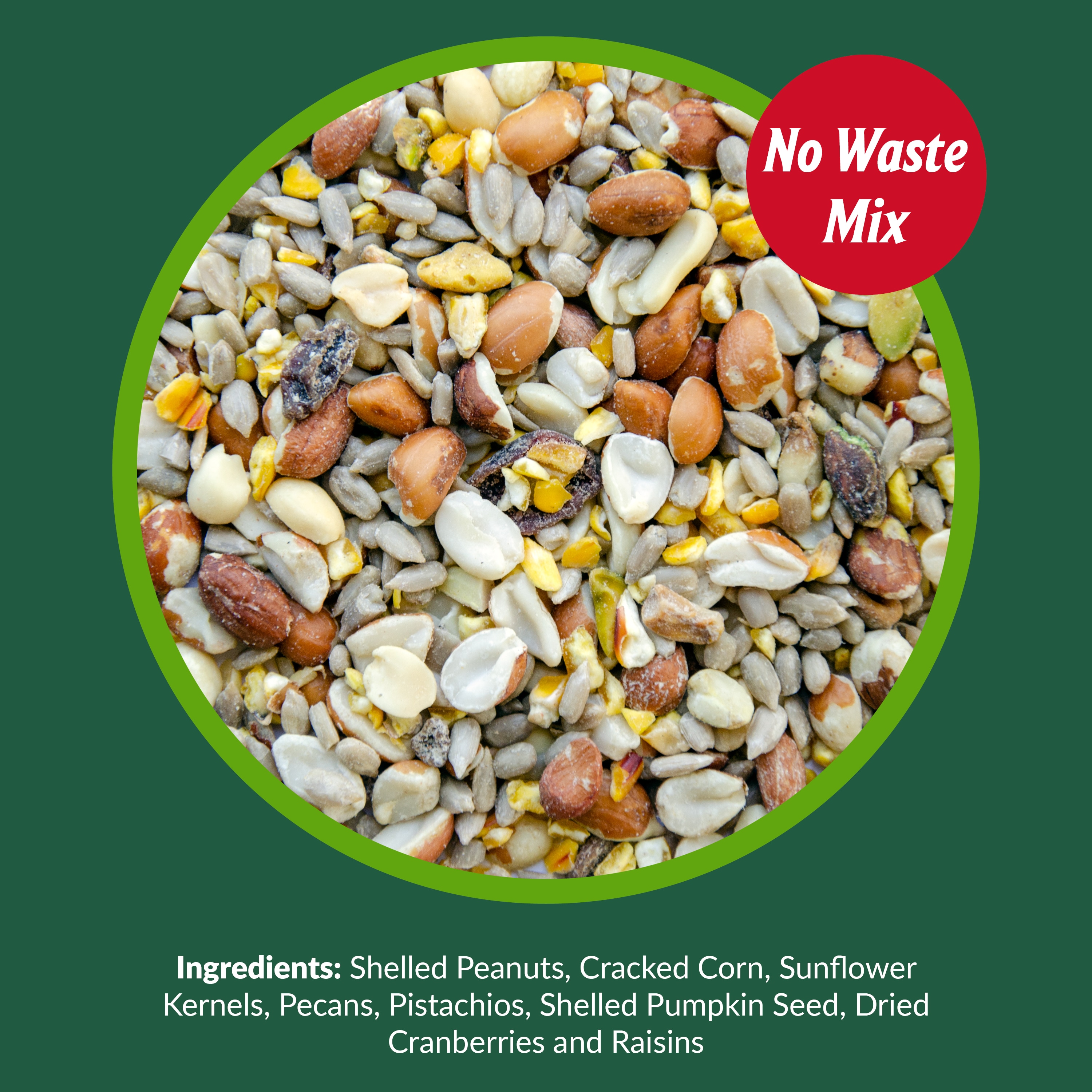 Lyric 2647334 Bird-Squirrel-Food - View #4