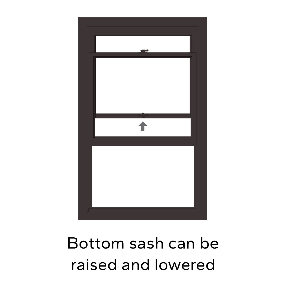 Pella 1000009912 Single-Hung-Windows - View #6