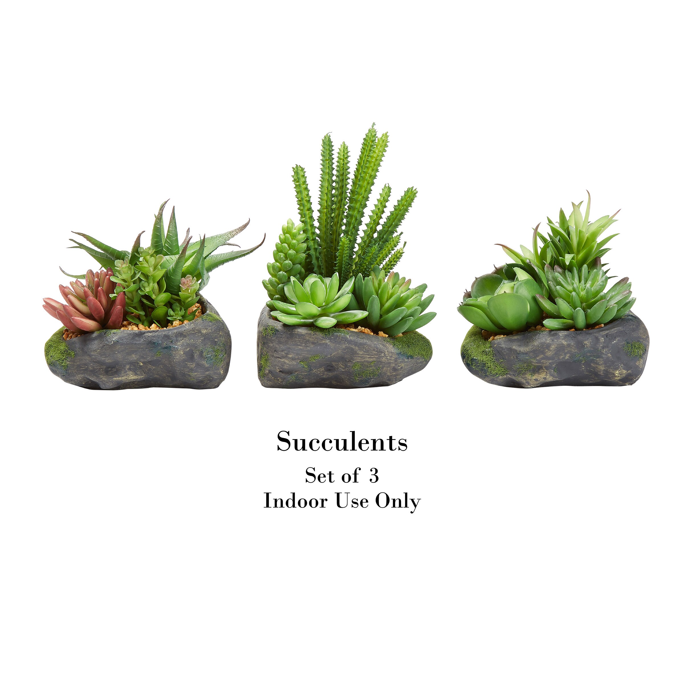 Buy Set of 3, Multi Colored Fake Succulents