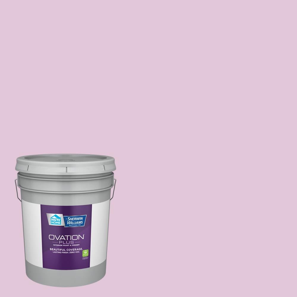 HGTV HOME by Sherwin-Williams 1004-6B-2557223 Ovation Plus Flat Simple Violet 1004-6B Latex Interior Paint Paint + Primer ( 5-gallon )