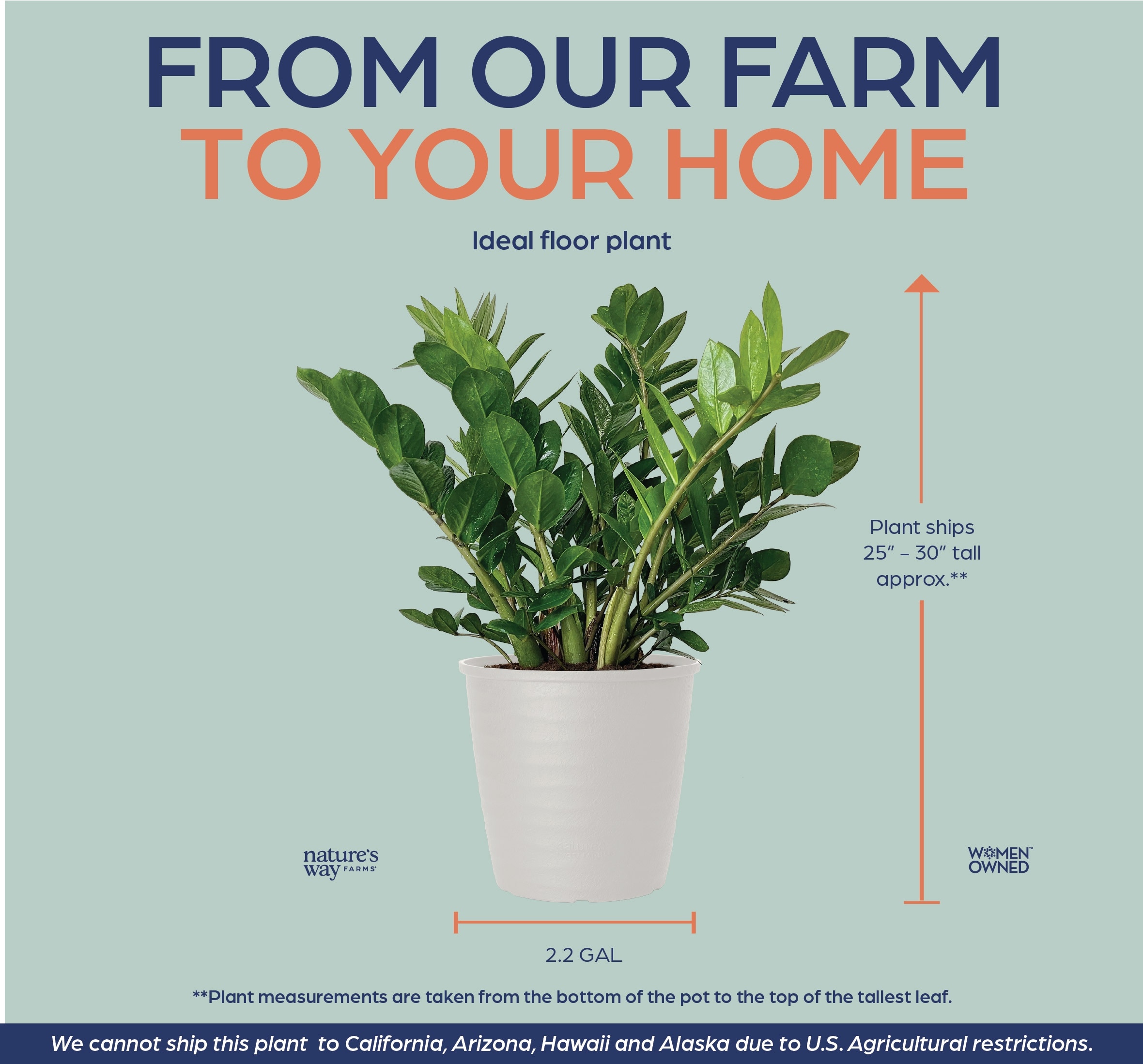 Nature's Way Farms 6021621 perennials - View #5