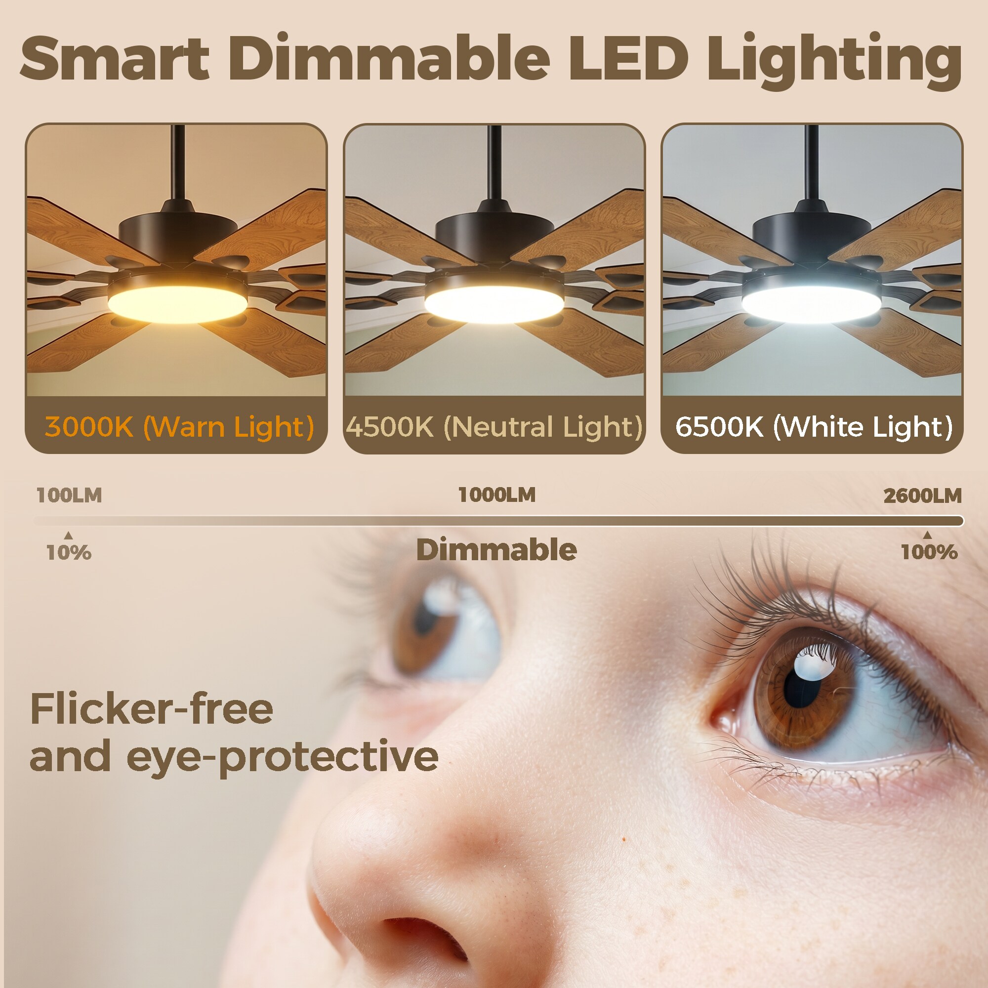 Sunrinx MG14-CF-19 Ceiling-Fans - View #6