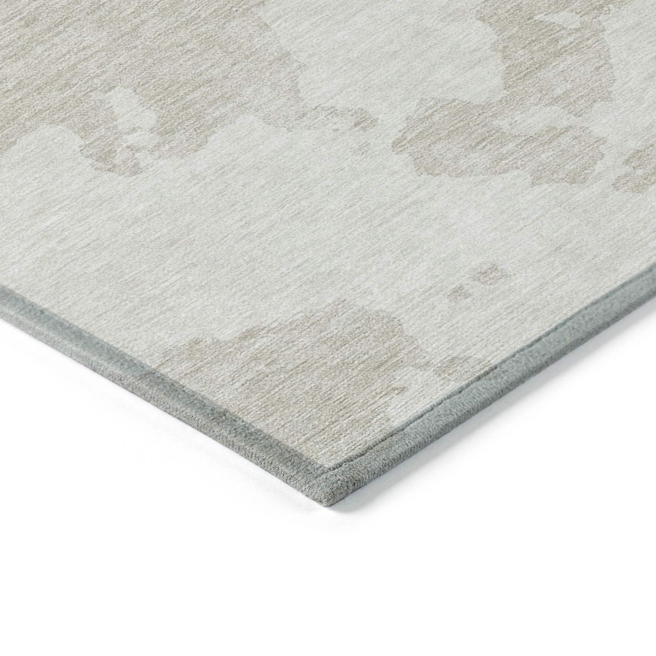 Addison Rugs ACN975IV3X5 rugs - View #3