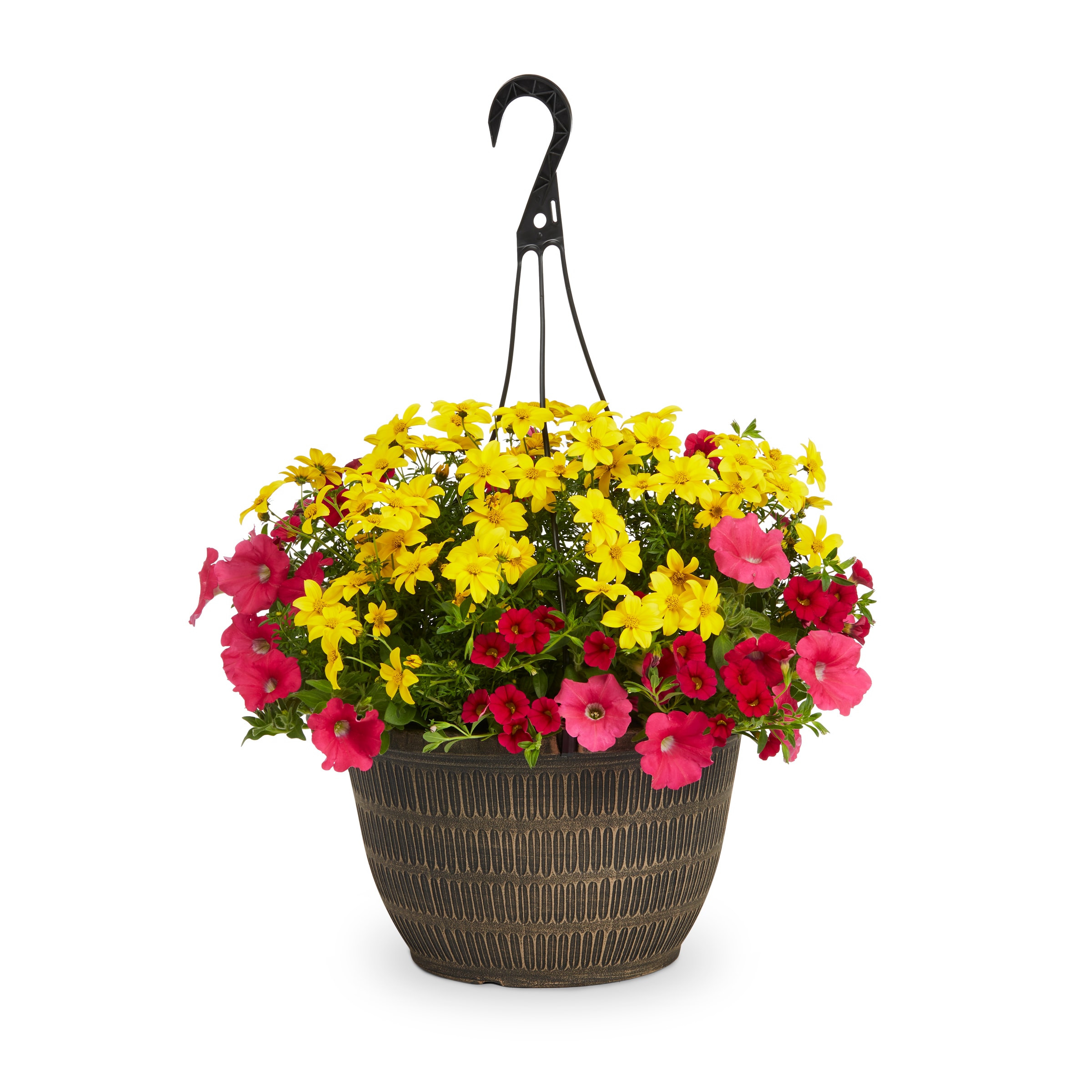 Lowe's Multicolor Trixi Salt Water Taffy Hanging Basket in the Annuals ...