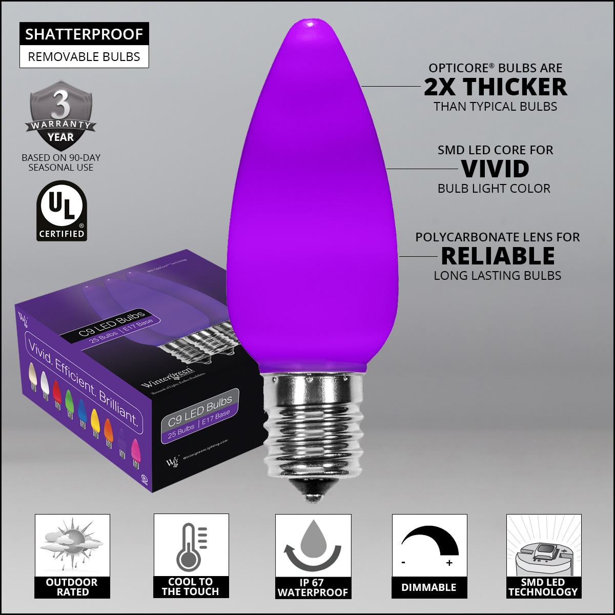 Wintergreen Lighting 74058 String-Light-Bulbs-Fuses - View #2