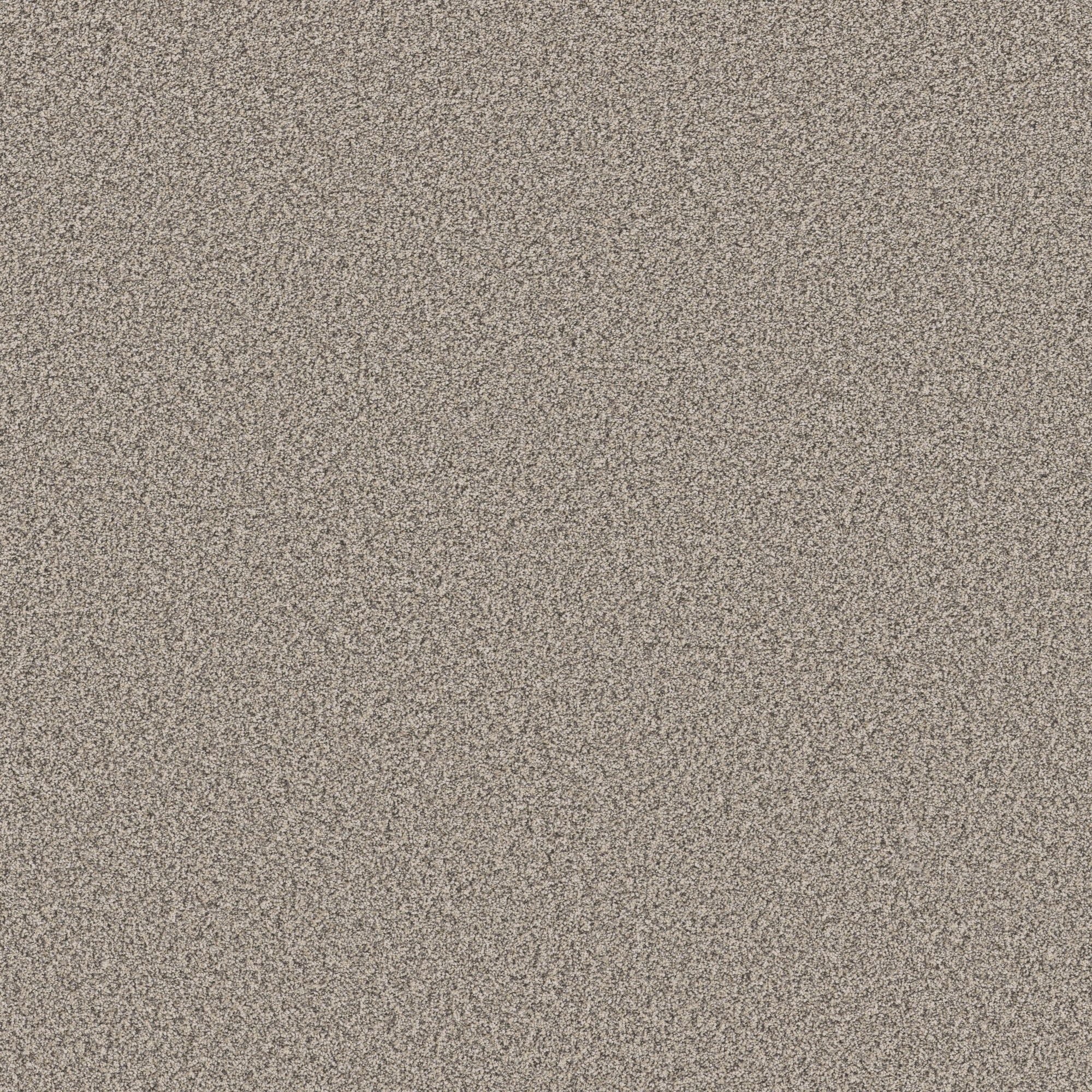 STAINMASTER PetProtect 7L930-120-SAMP (Sample) with LeakDefense Pacific Charm I Daytona Sand Brown 58.5-oz sq yard Polyester Textured Indoor Carpet