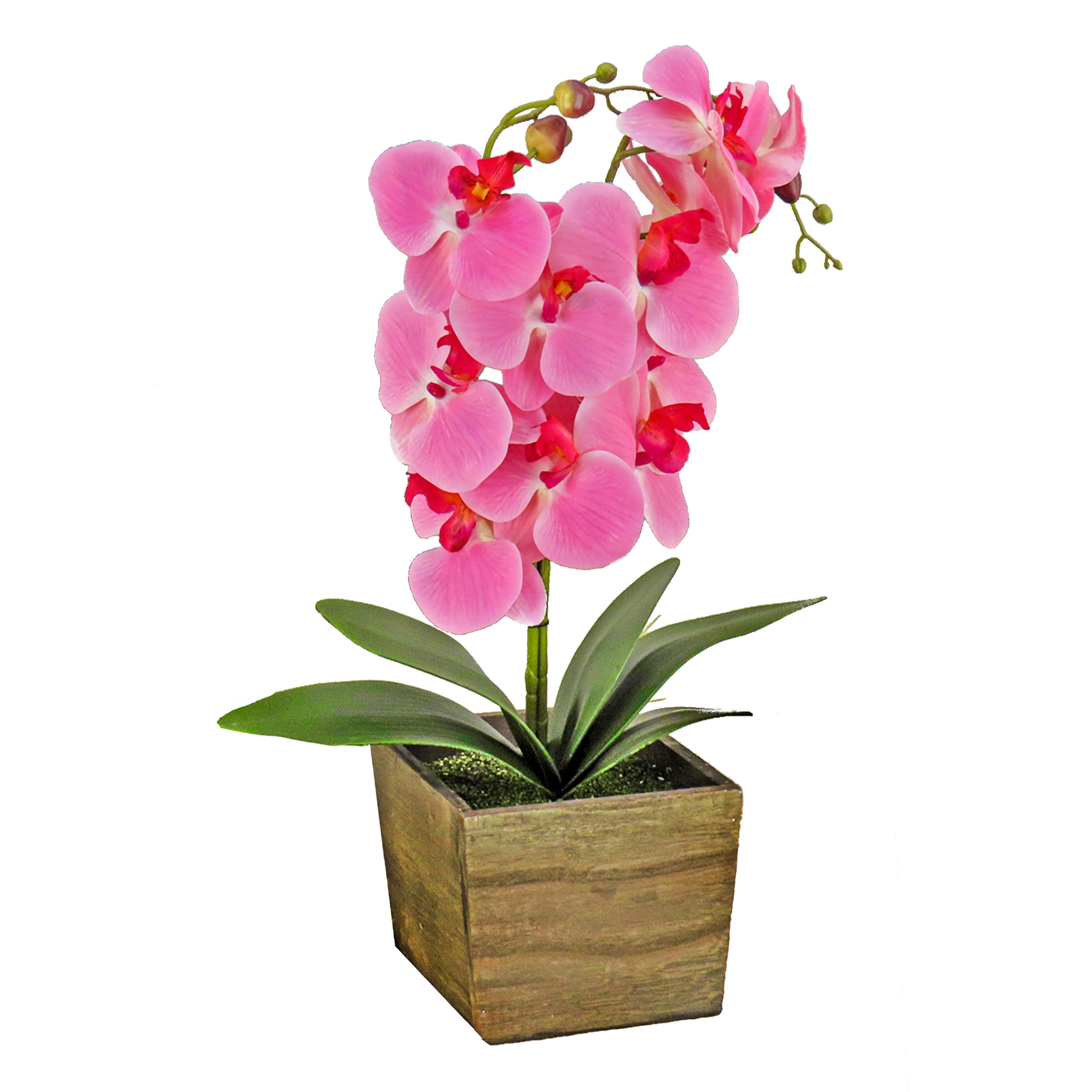National Tree Company MT81-PH0354PPK 21-in H Spring Tabletop Decoration Decorative Box