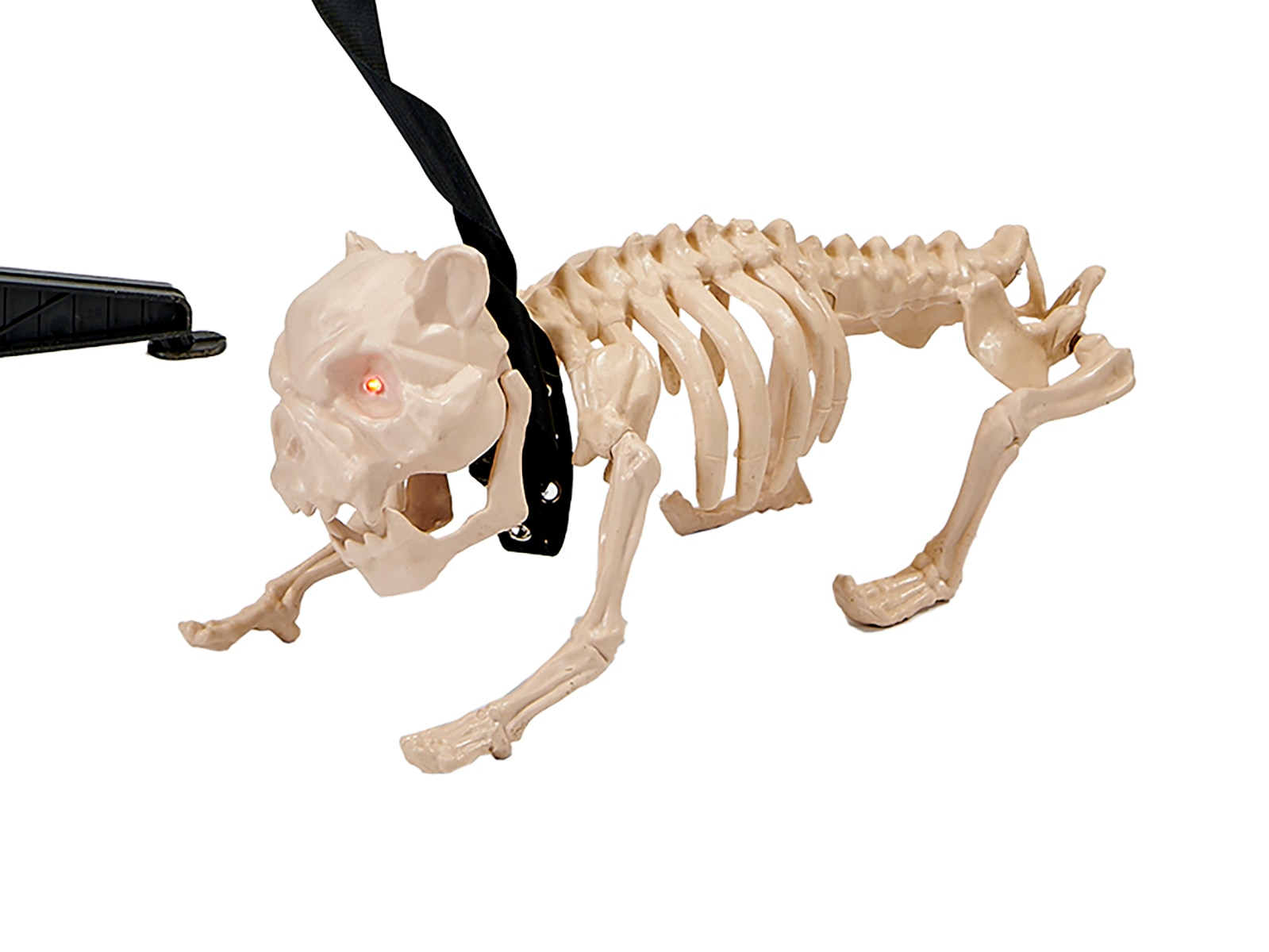 Worth Imports 4402 Outdoor-Halloween-Decor - View #2