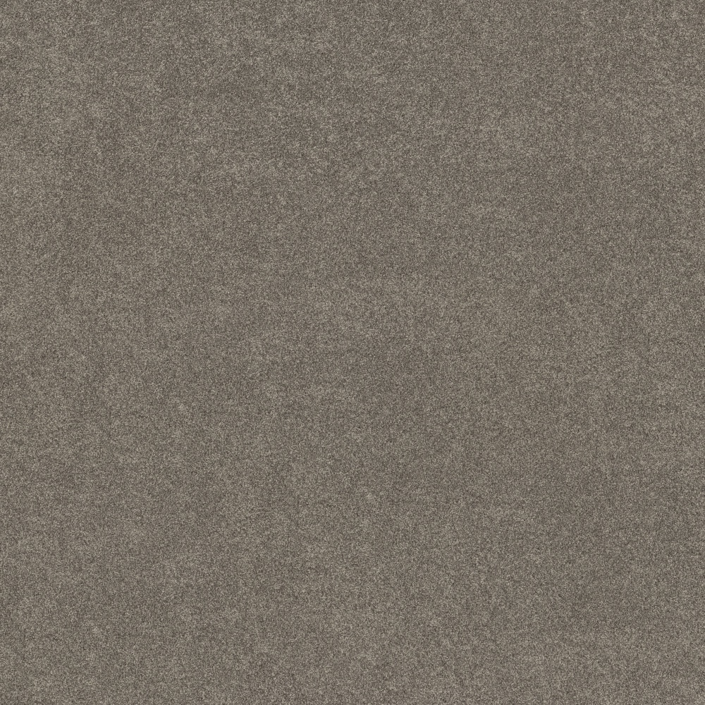 STAINMASTER PetProtect 7L938-722-SAMP (Sample) 8-in x 8-in with LeakDefense Terrific Tails II Deer Trail Brown 68-oz sq yard High-performance polyester Textured Indoor Carpet