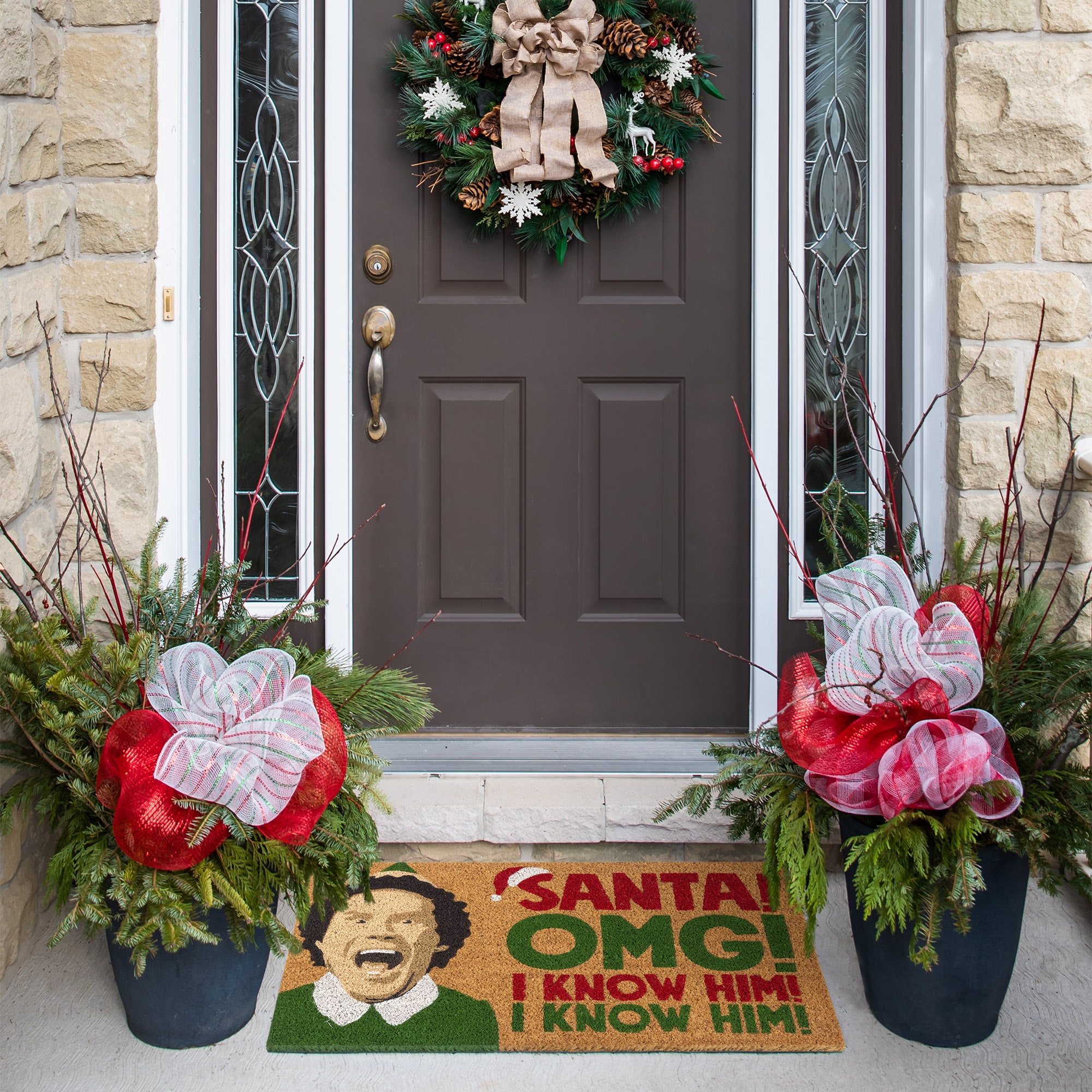 Elf 23863 1-1/2-ft x 2-1/2-ft multicolor Coir Rectangular Indoor or outdoor Decorative Novelty Door mat