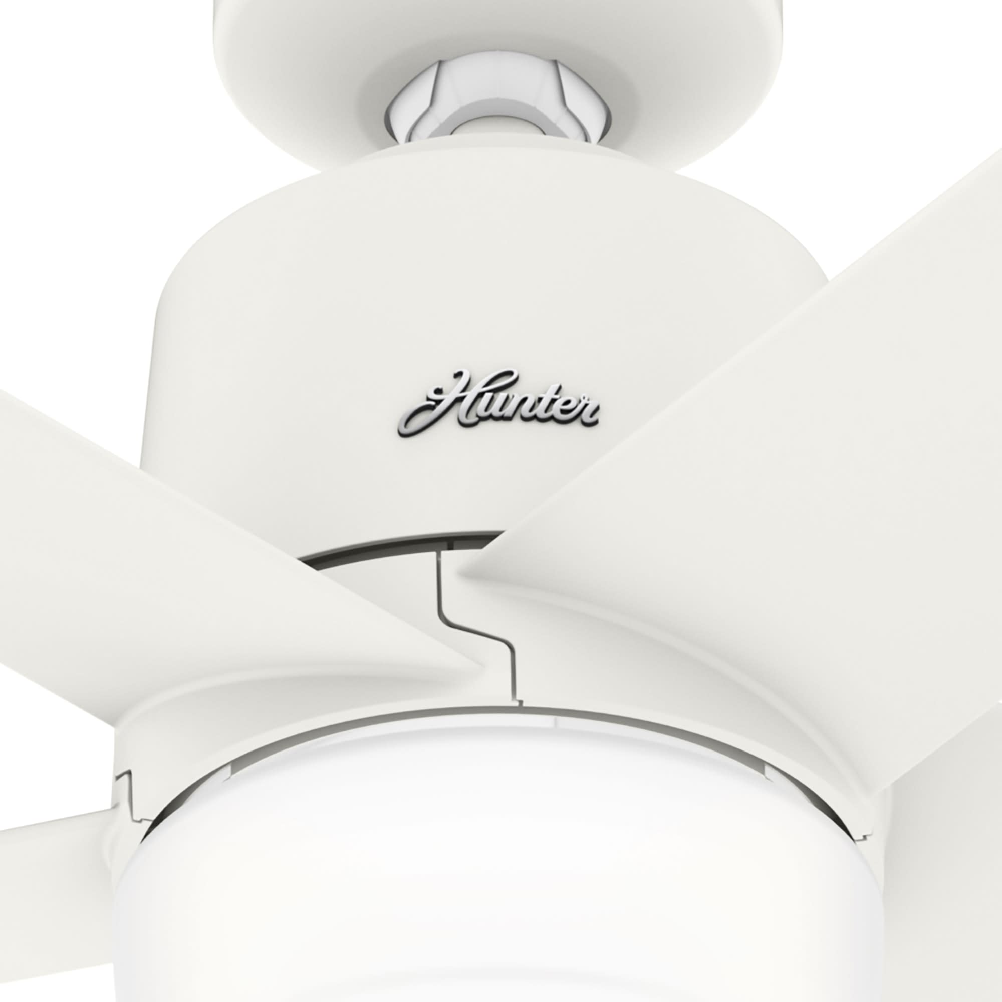Hunter 51197 Ceiling-Fans - View #12