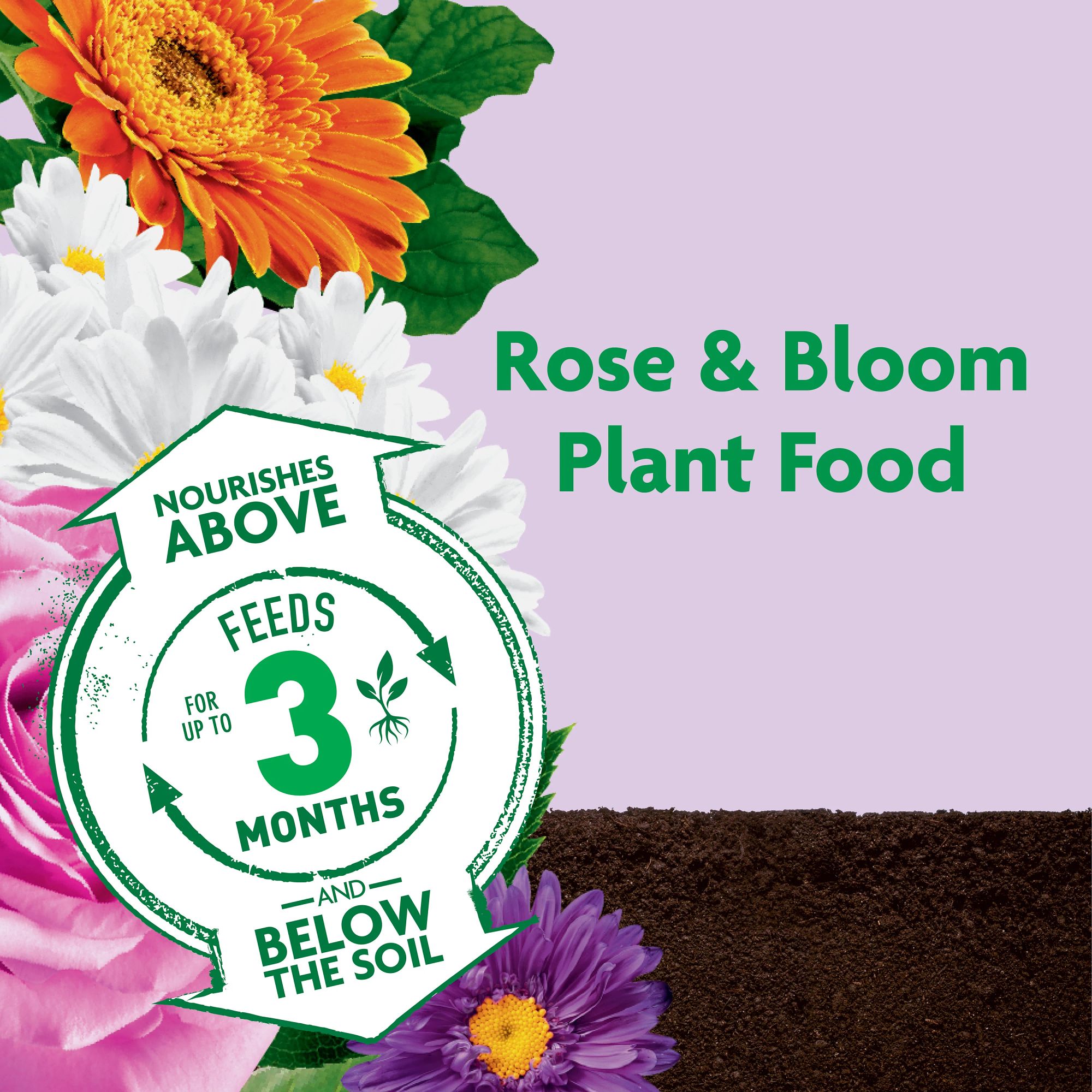 Miracle-Gro Shake 'N Feed Rose and Bloom 8-lb 10-18-0 Granules