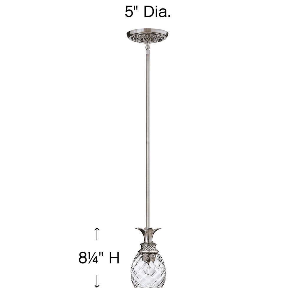 Hinkley 5317PL Pendant-Lights - View #6