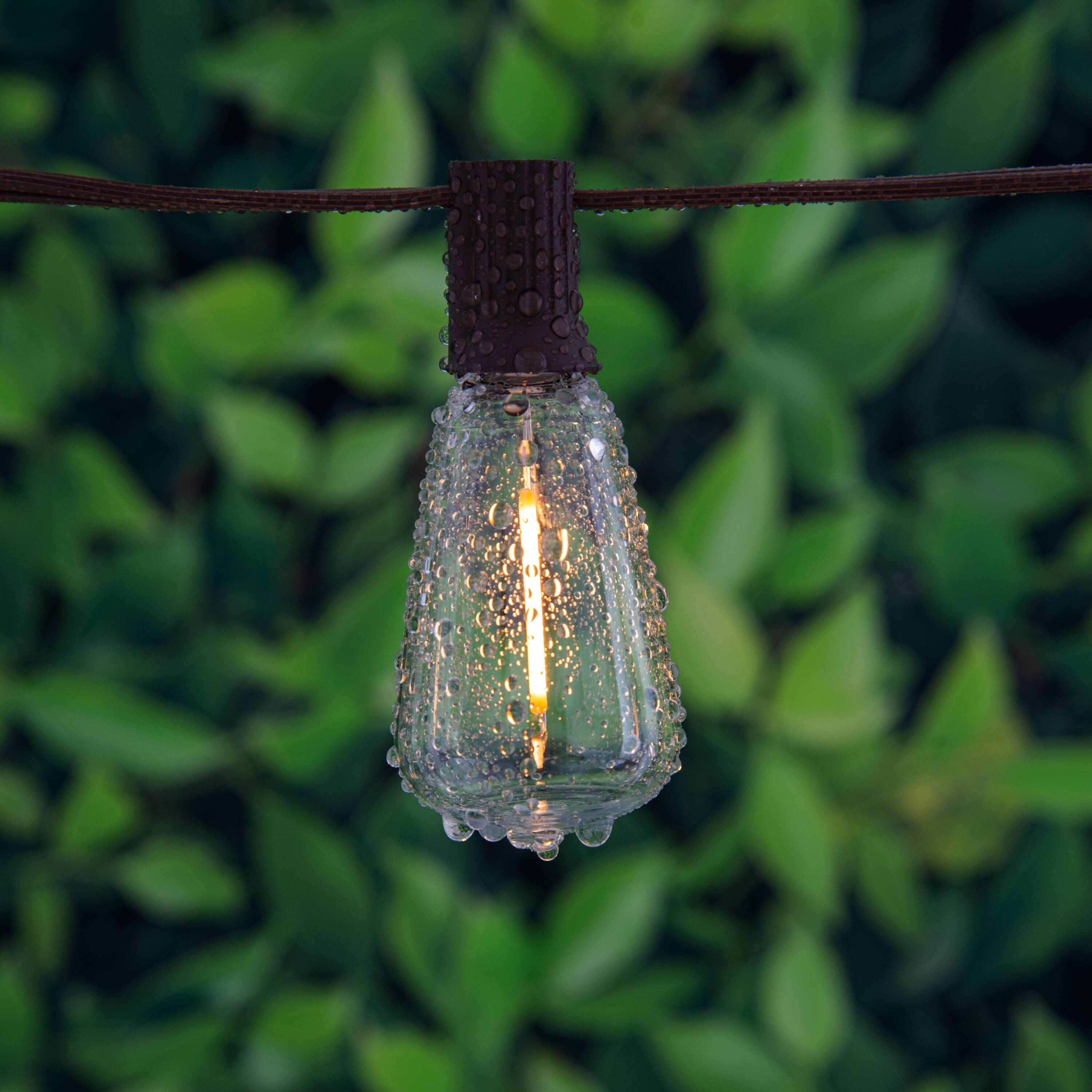 Harbor Breeze SL10E(12) Patio-String-Lights - View #2