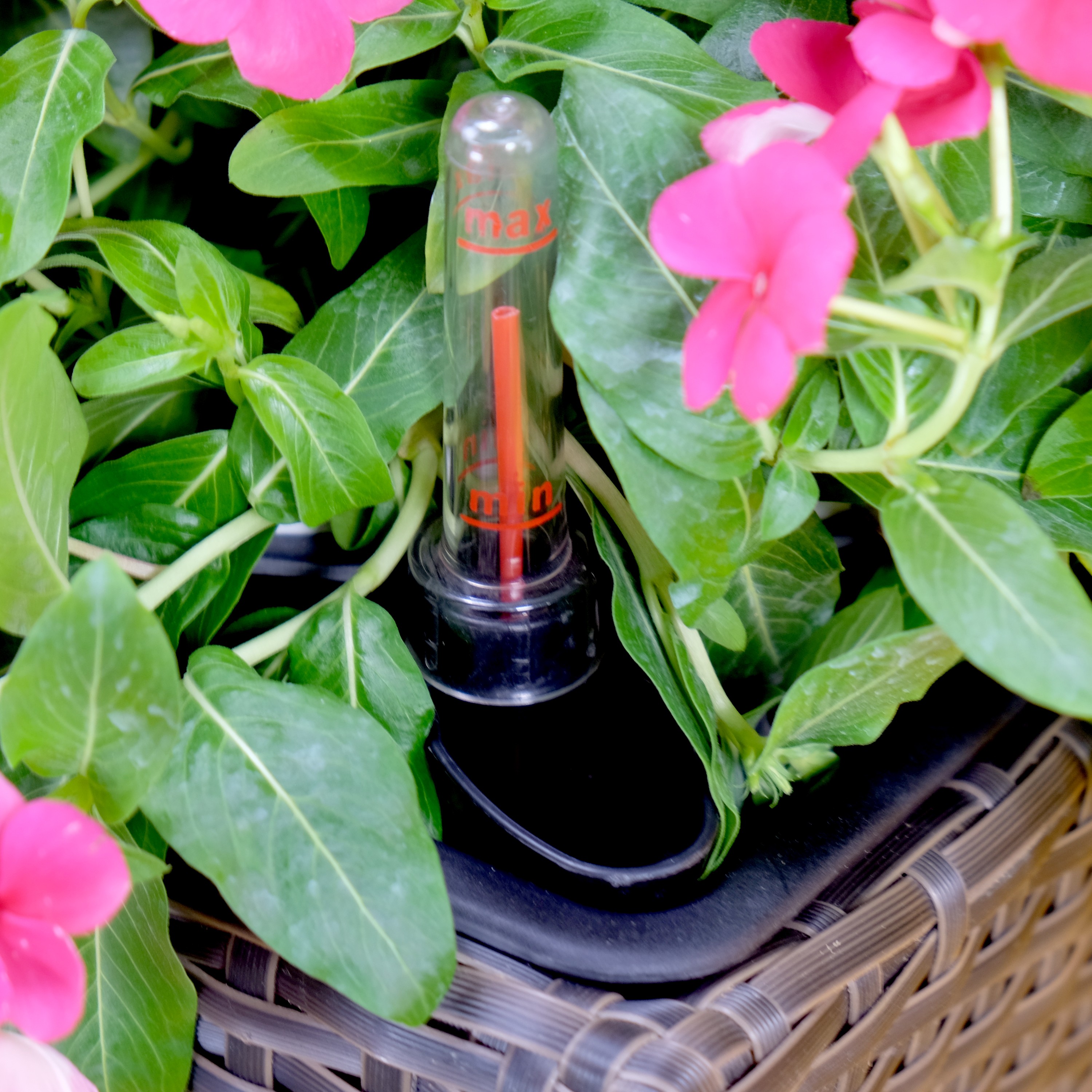 Siavonce XH44638 Planter-Window-Box - View #2