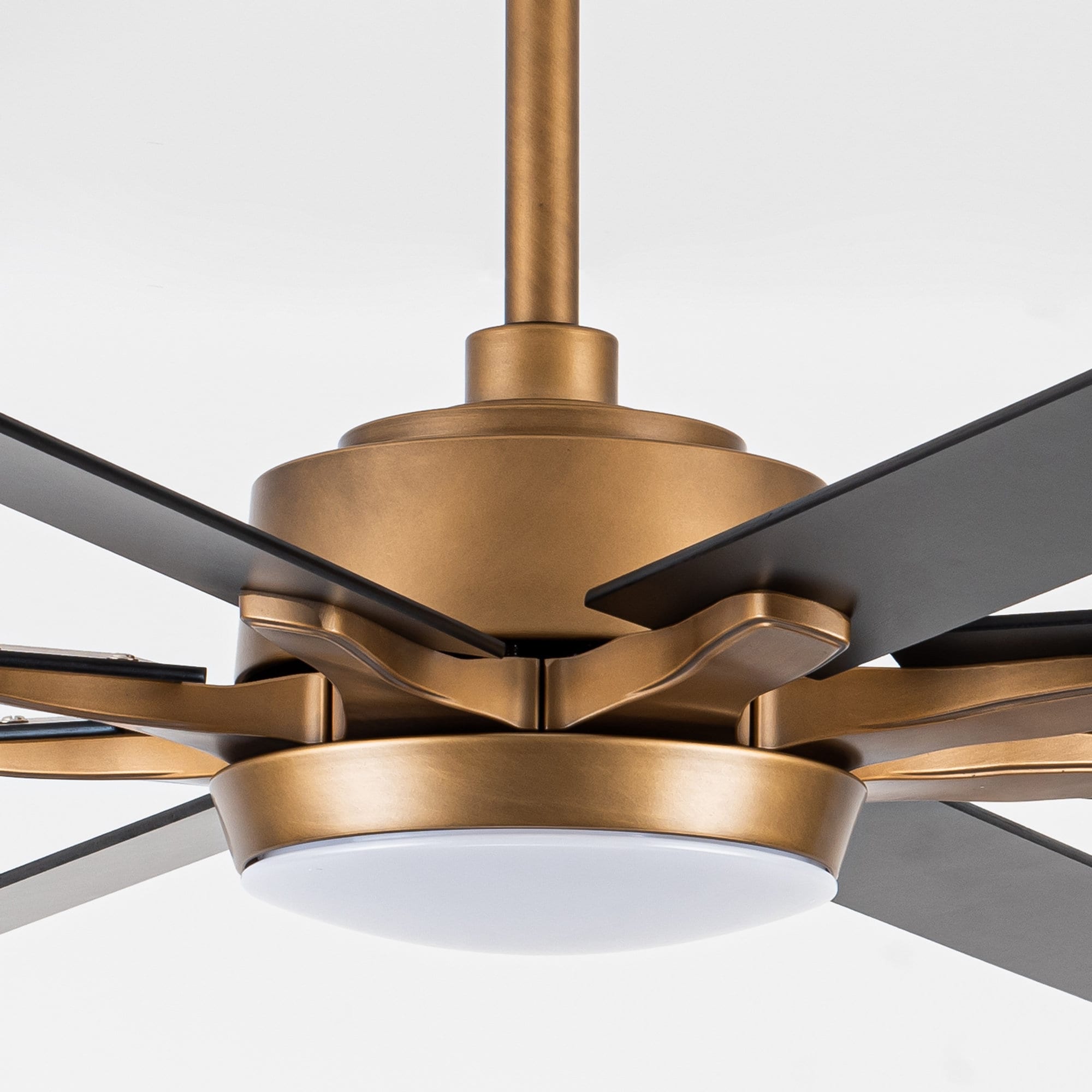 Parrot Uncle F8261110V Ceiling-Fans - View #17