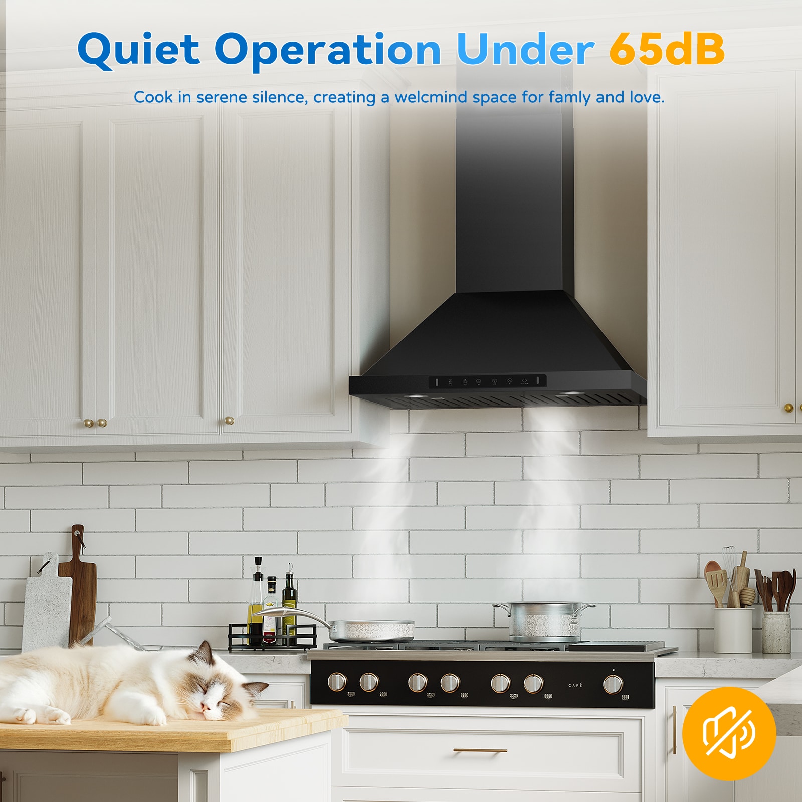 VIKIO VIKP0230BSS Wall-Mounted-Range-Hoods - View #7
