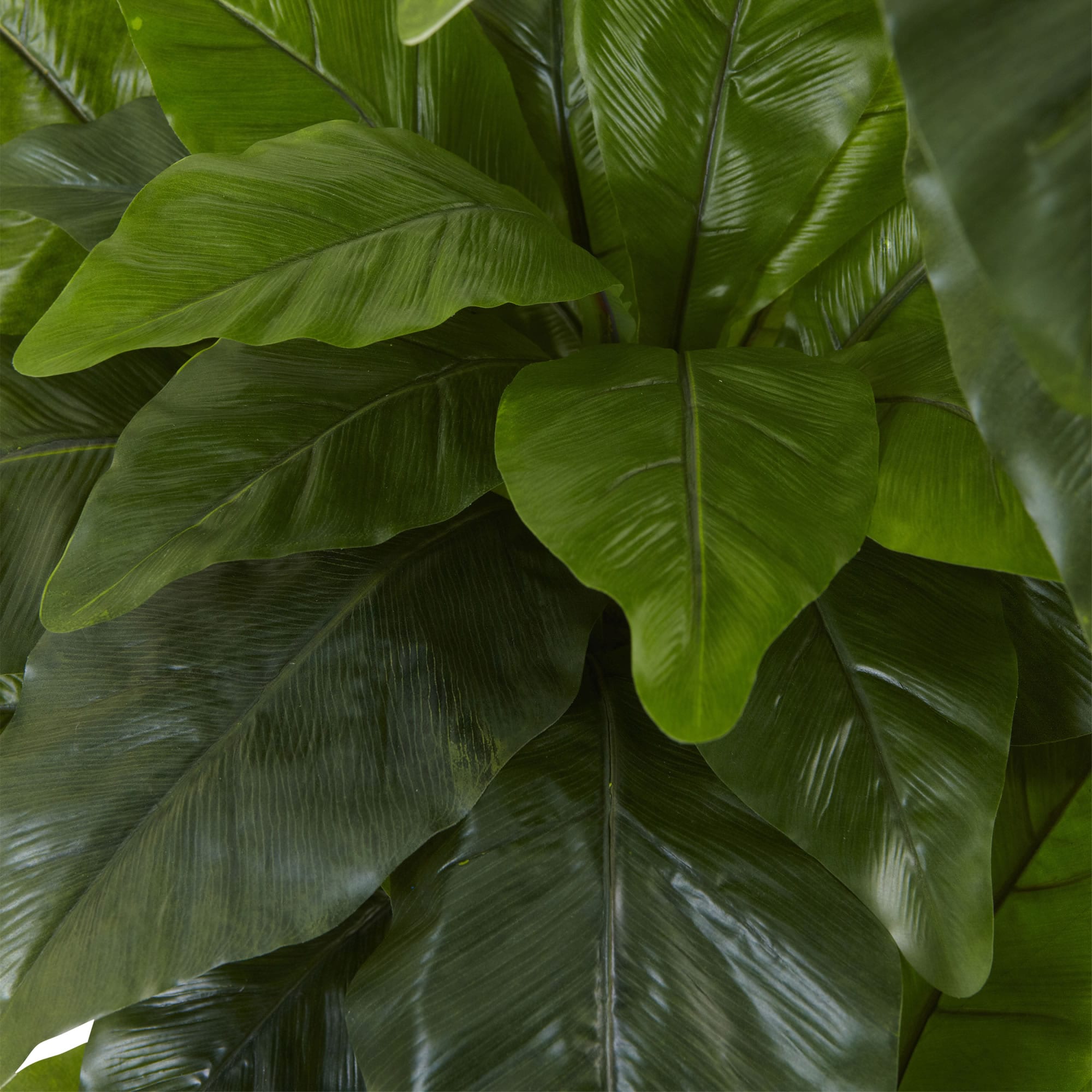 Nearly Natural 5391 Artificial-Plants-Trees - View #2